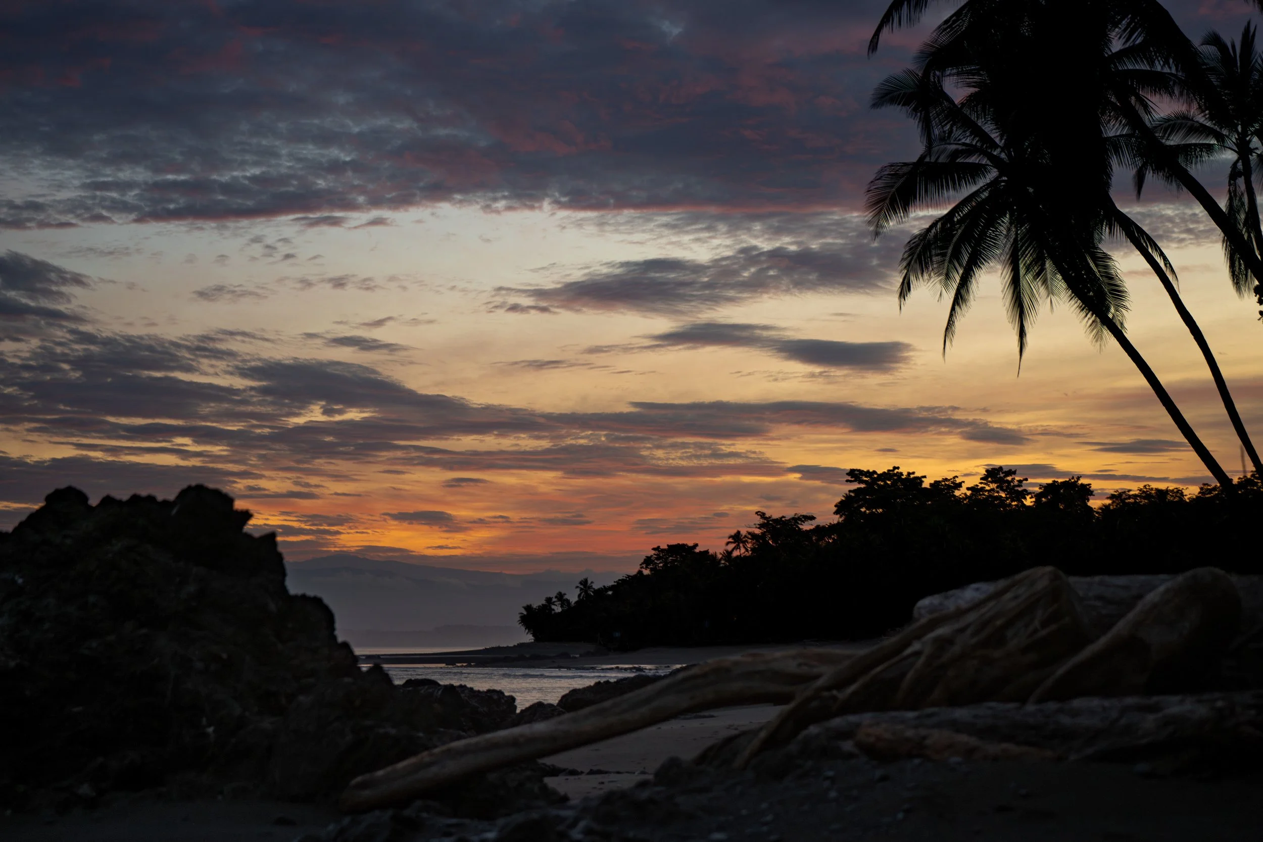 A scenic view of a sunset over the ocean with palm trees silhouetted in the foreground, clouds scattered across the sky, and rocky terrain at the bottom of the image.