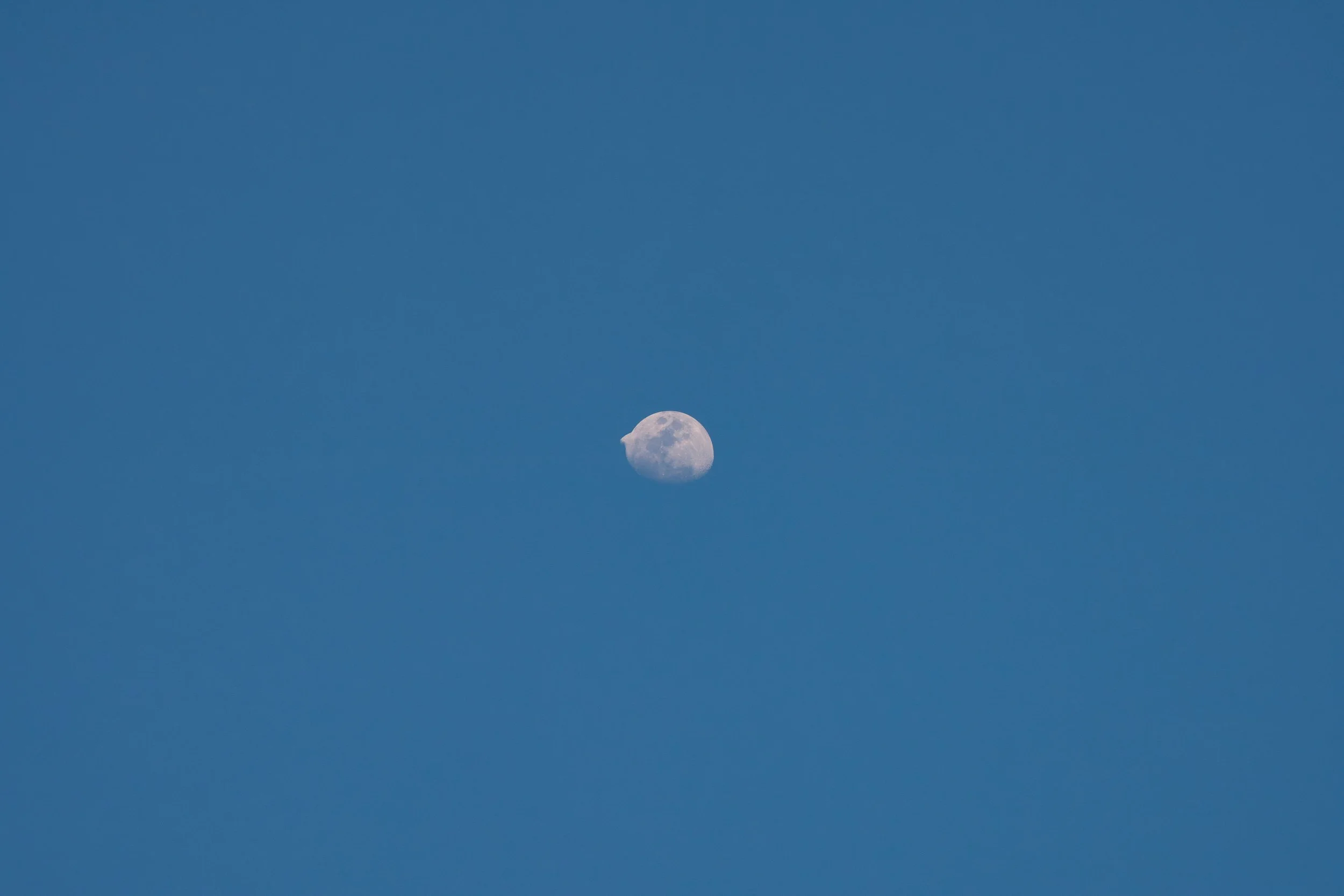 DSC02922.jpg
