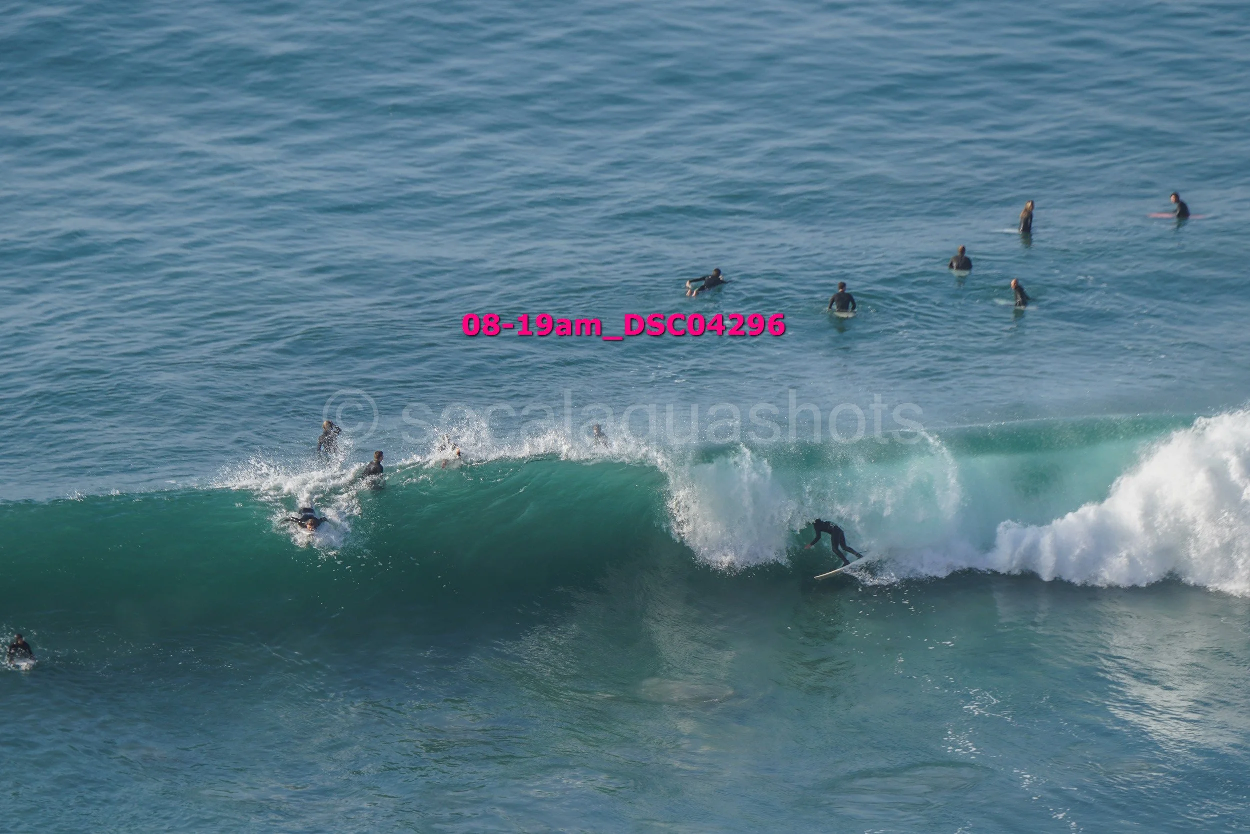 A surfer riding a wave while others are paddling and waiting in the ocean.