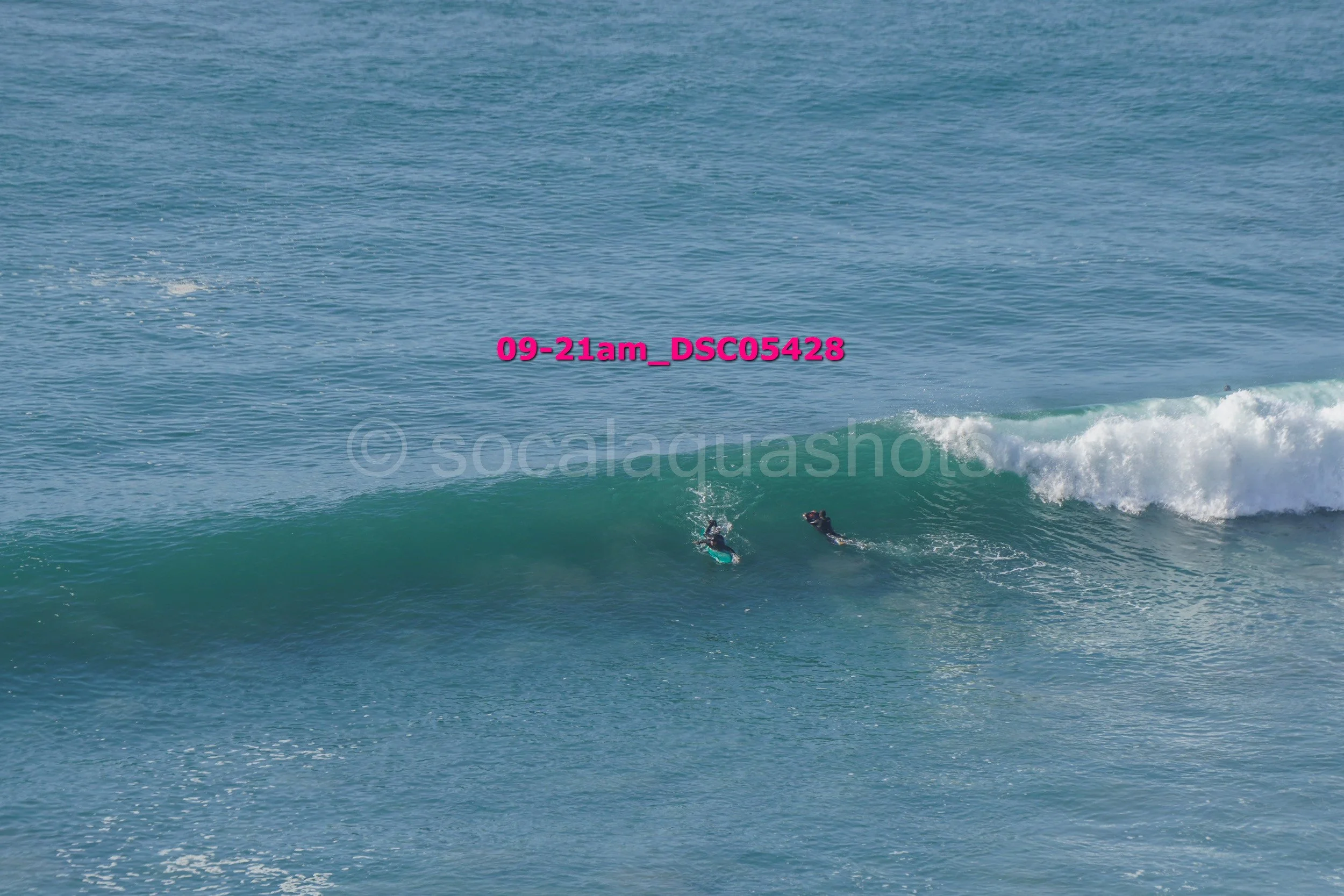 Two surfers lying on their surfboards riding an ocean wave with visible white foam at the crest.