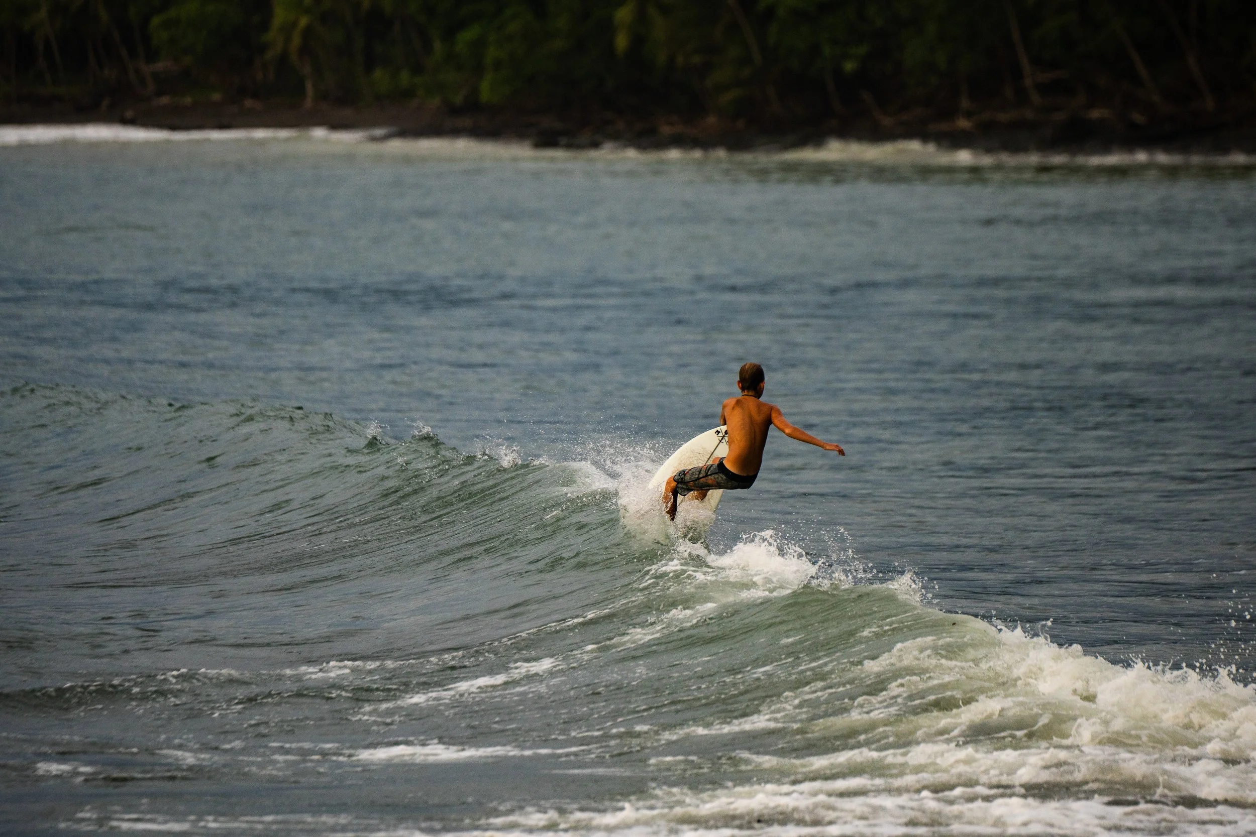 A person with no shirt and shorts surfing on a wave in the ocean, with a tree-lined shoreline in the background.