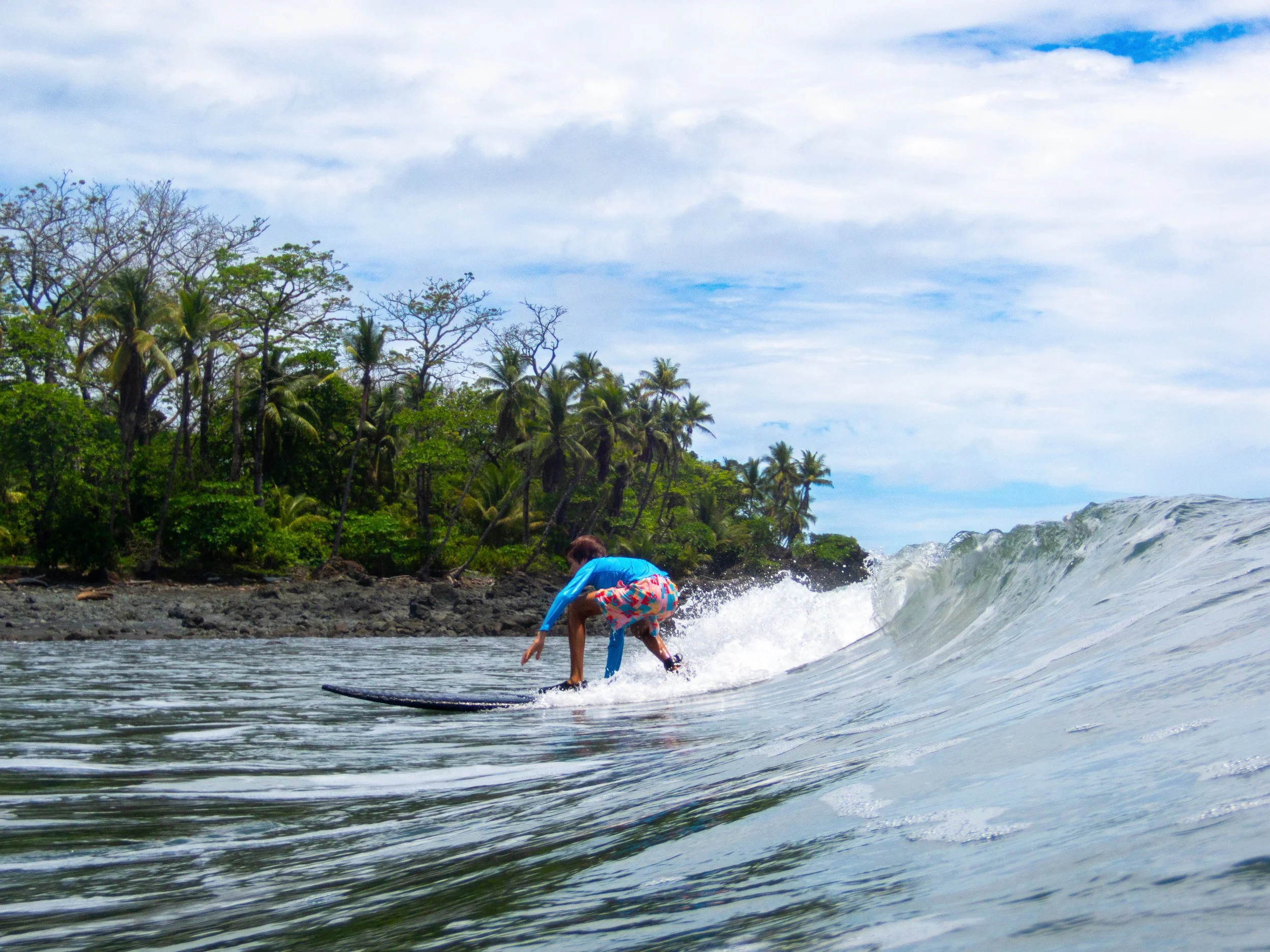 person surfing a wave near a tropical beach with palm trees in the background