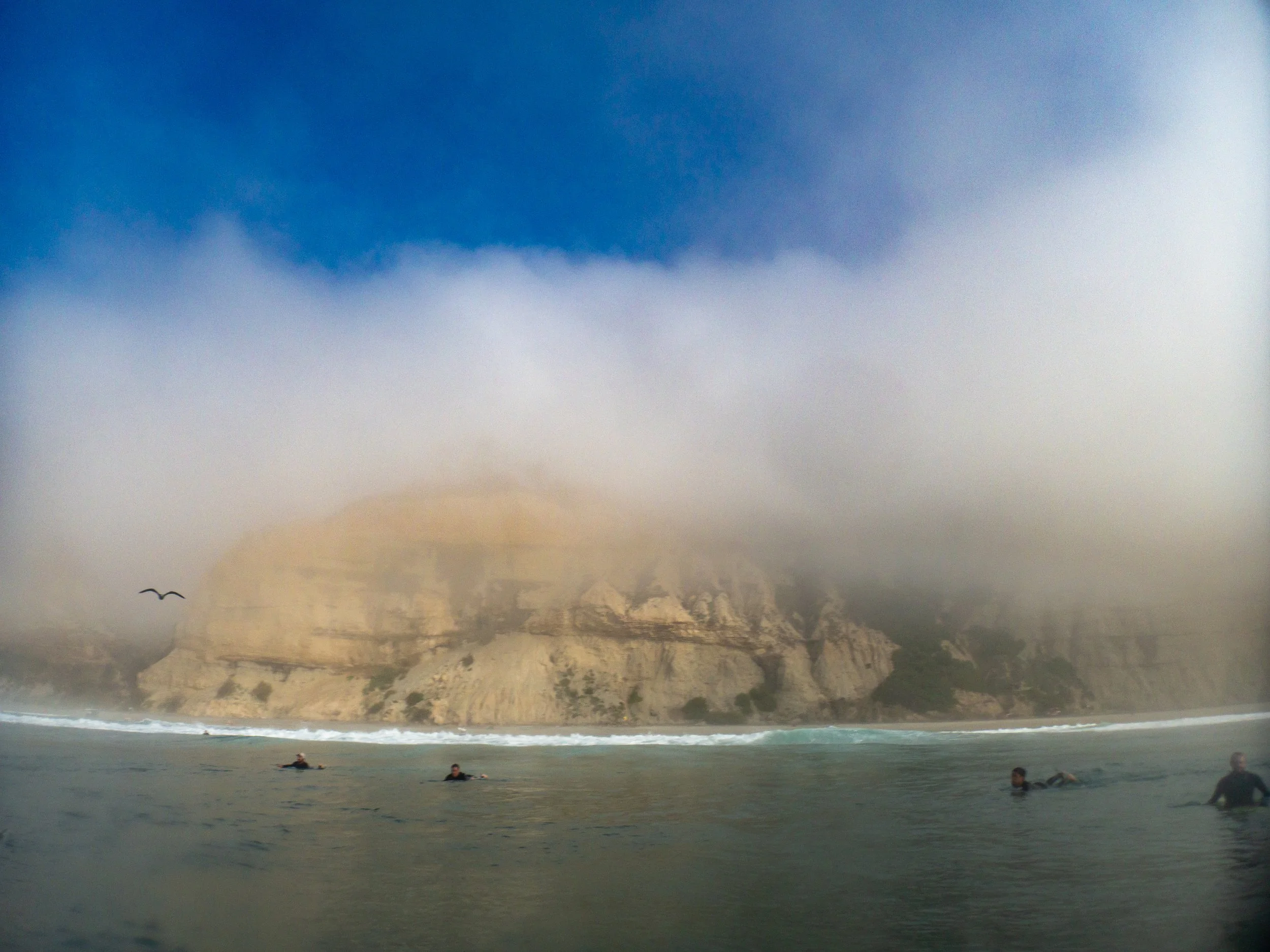 People swimming in the ocean near a rocky cliff with fog and a bird flying overhead.