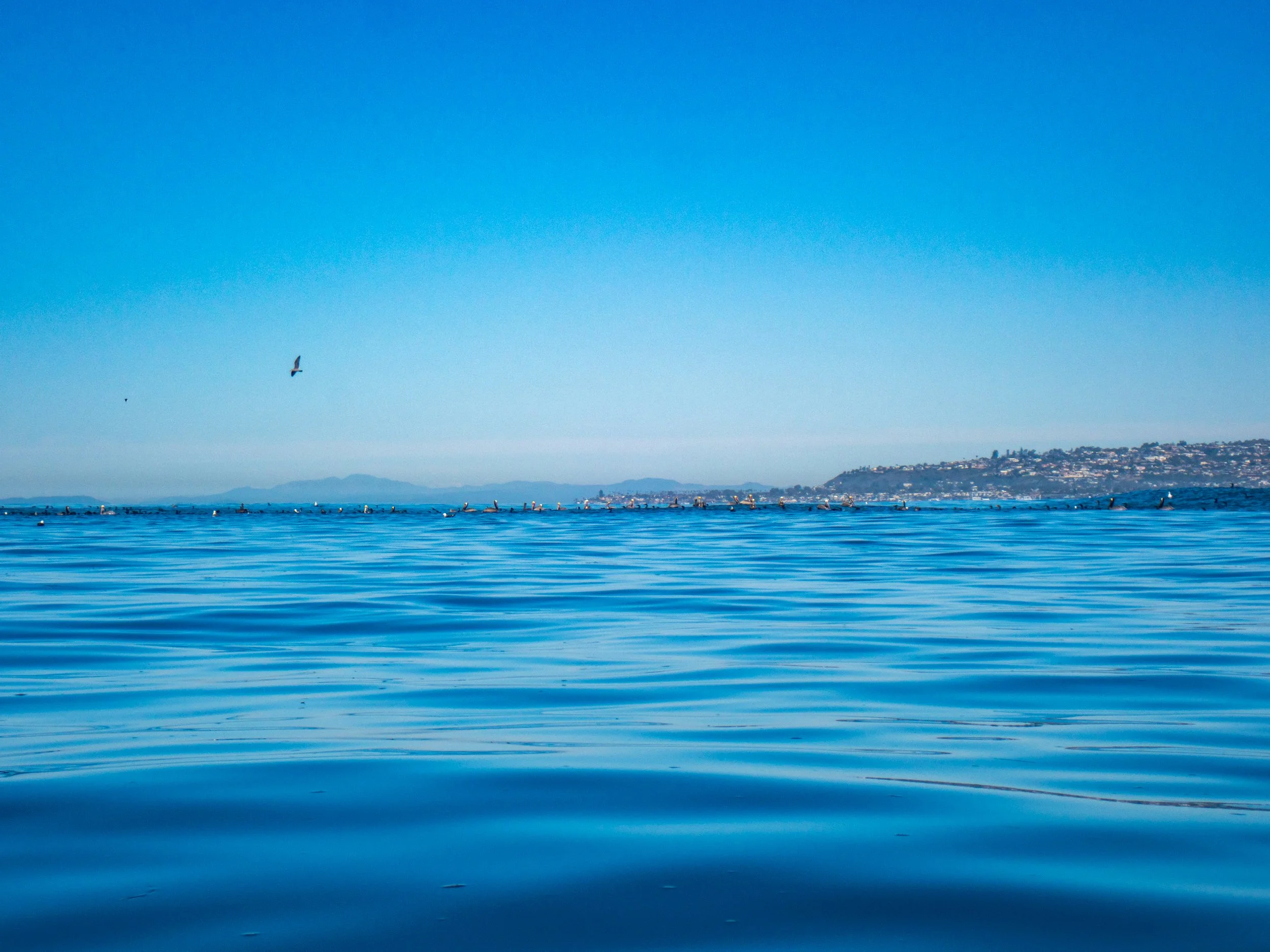 Calm blue ocean with boats and a distant shoreline under a clear blue sky