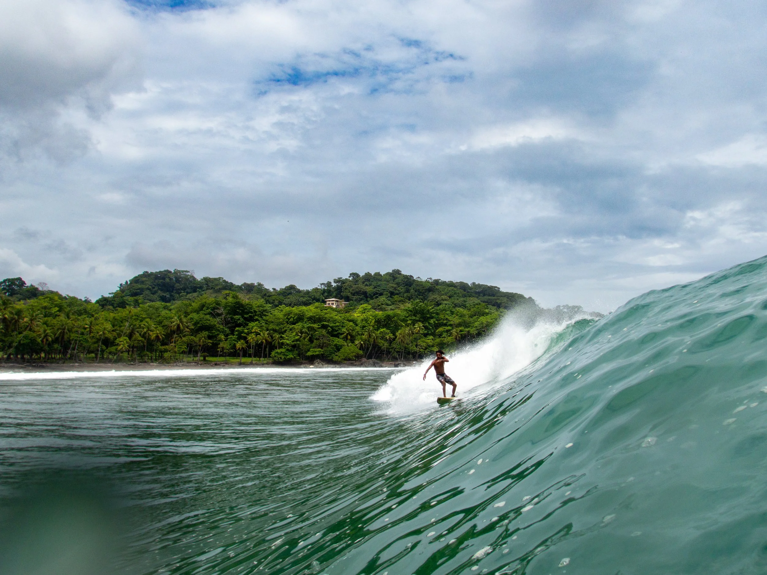 Surfer riding a large wave near a tropical beach with lush greenery.