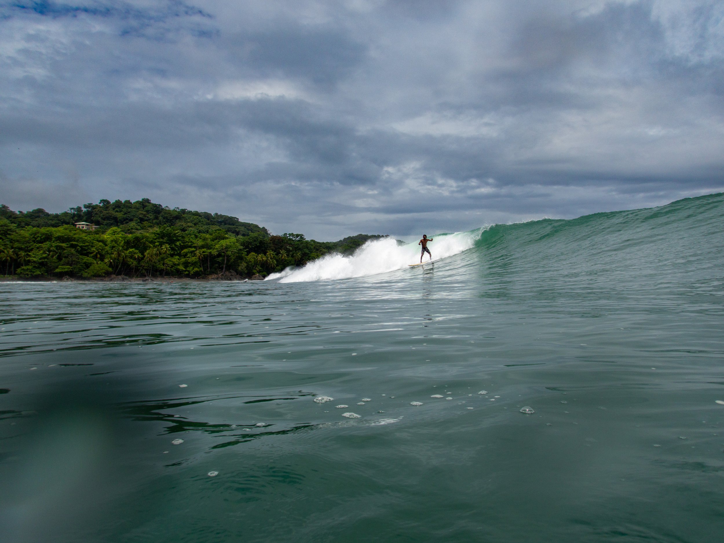 Person surfing on a large wave with a tropical tree-lined shore in the background under a cloudy sky.