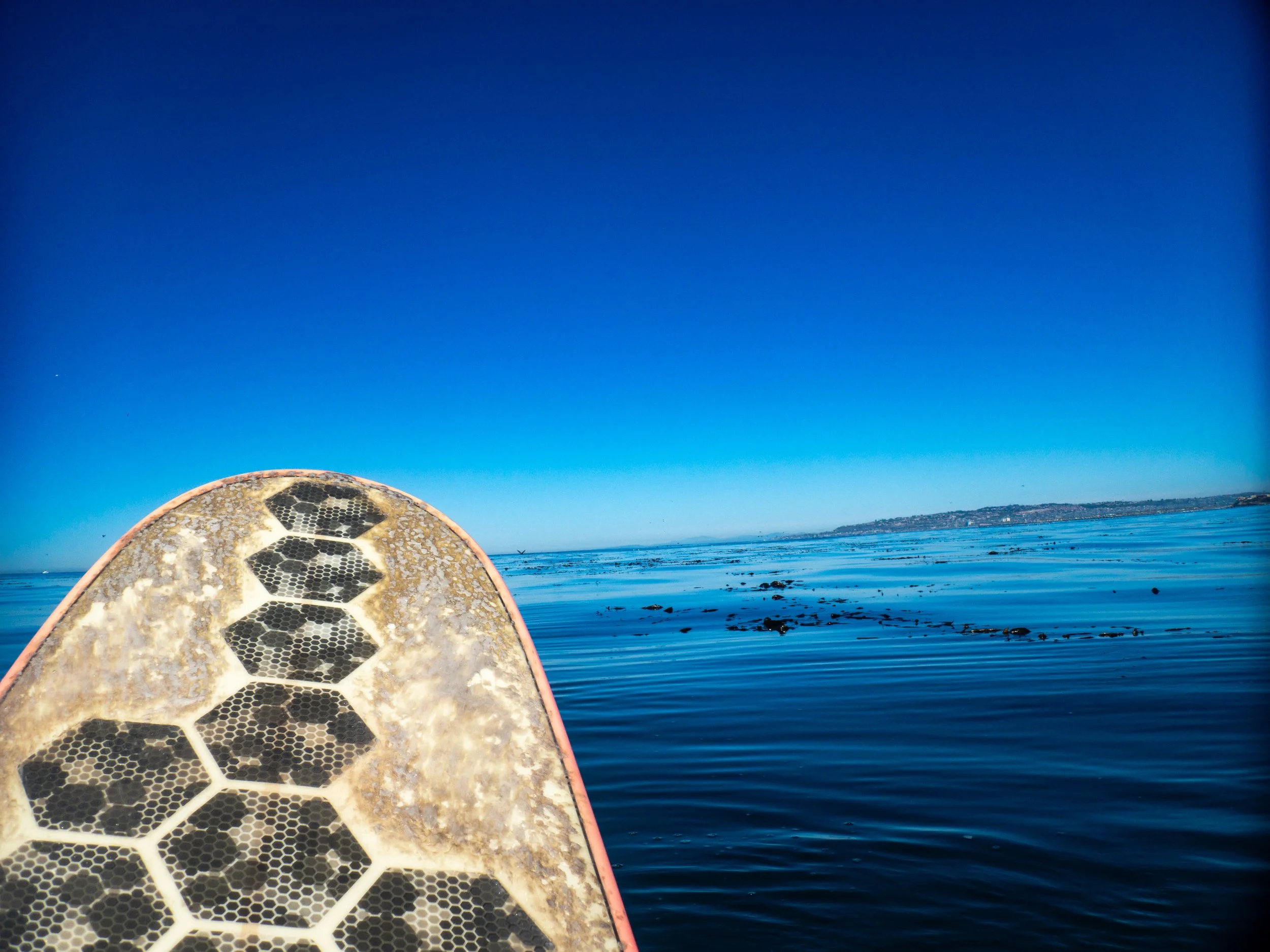 View from a surfboard on the ocean, with a clear blue sky and distant land on the horizon.
