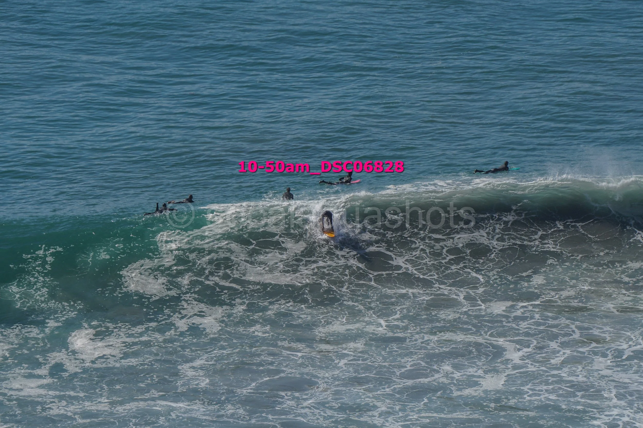 Multiple surfers in the ocean, one on a surfboard riding a wave, others paddling on surfboards in the background.