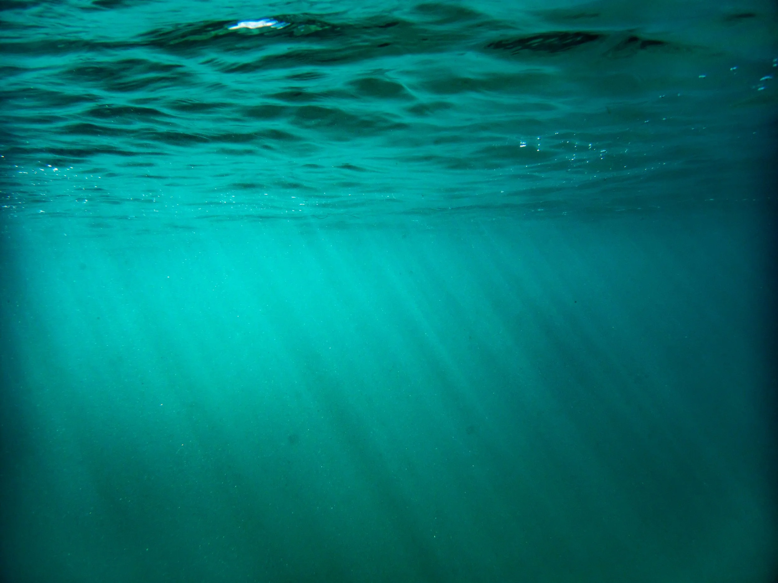 Underwater scene showing clear blue water with sunlight rays penetrating from above.