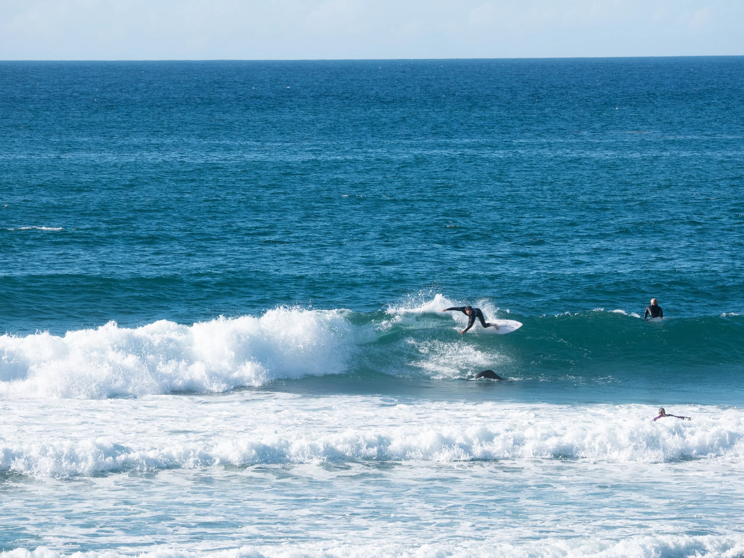A person surfing on a wave at the beach with other surfers nearby.