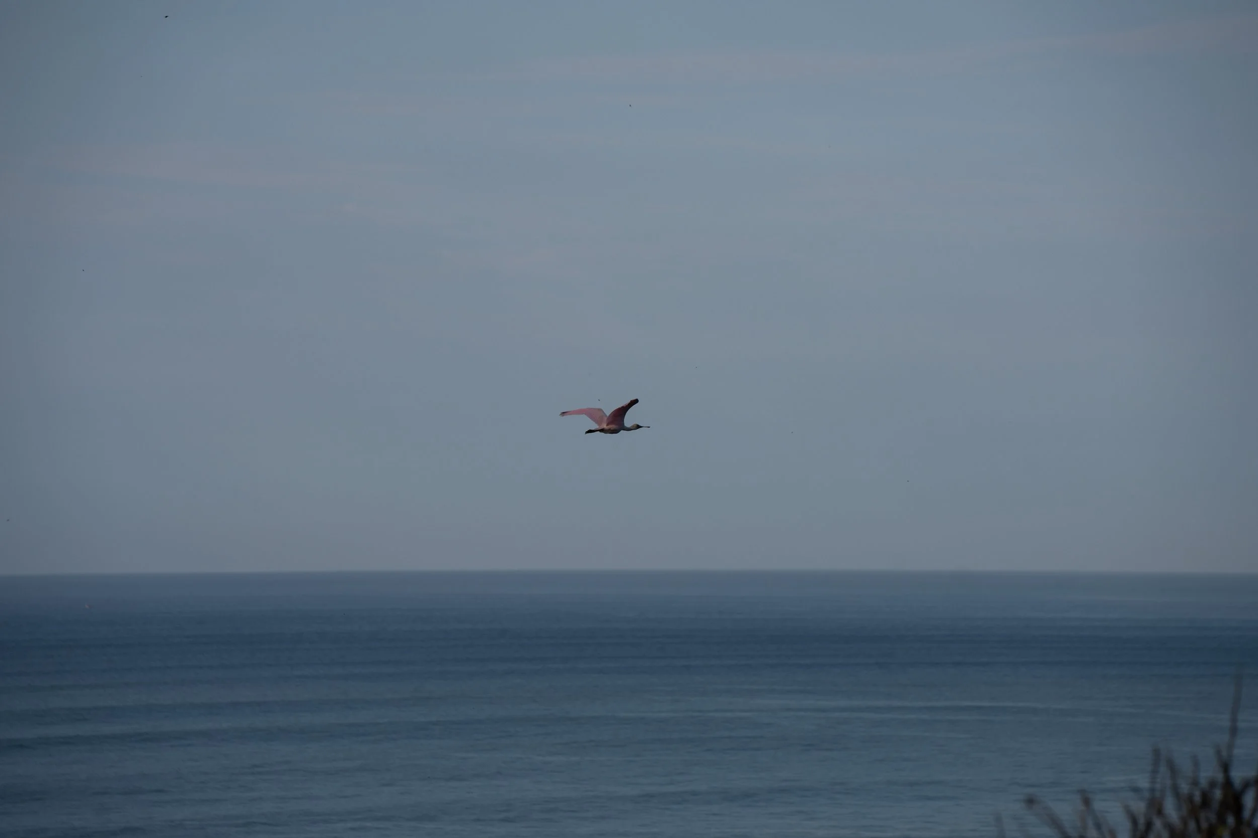 DSC04114.jpg