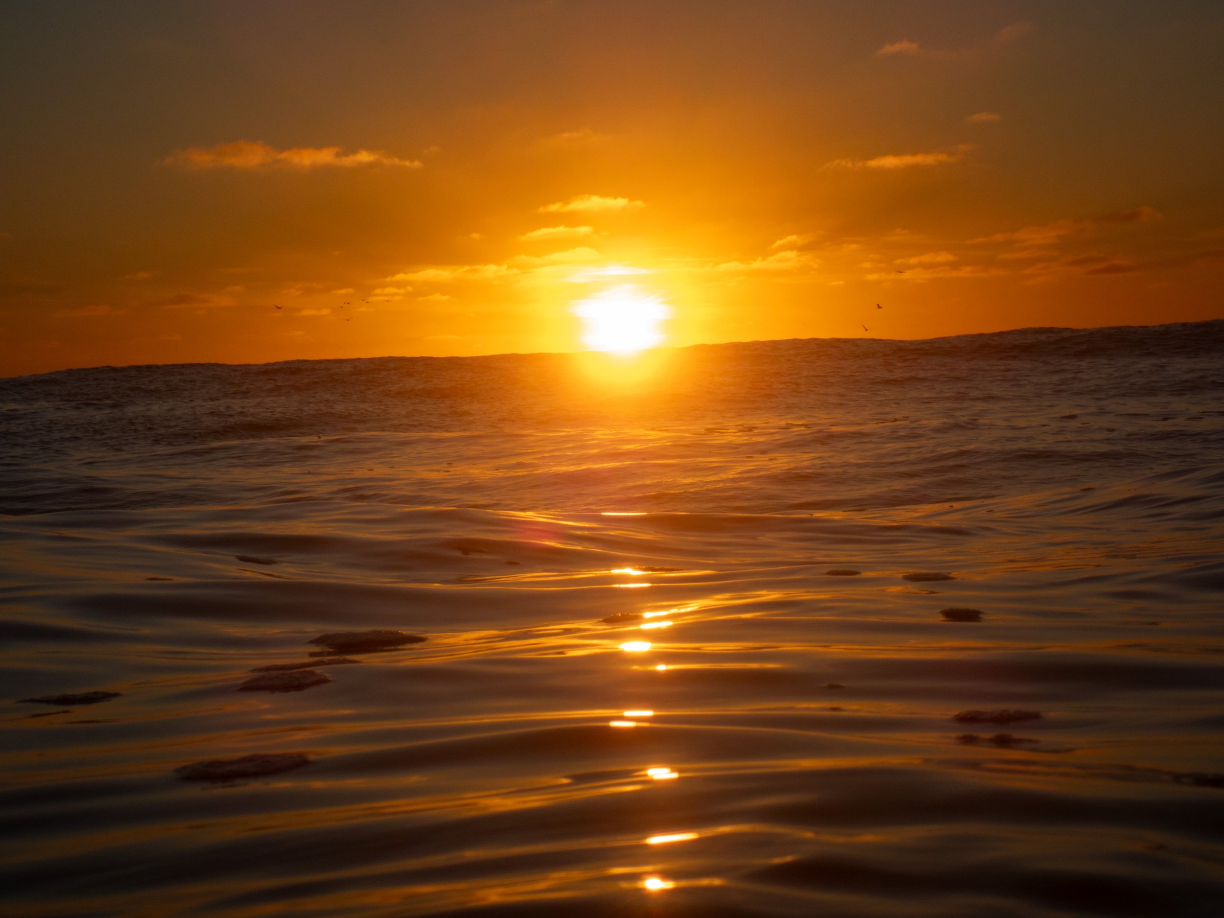 Sunset over the ocean with a bright orange sky and calm water reflecting the sunlight.