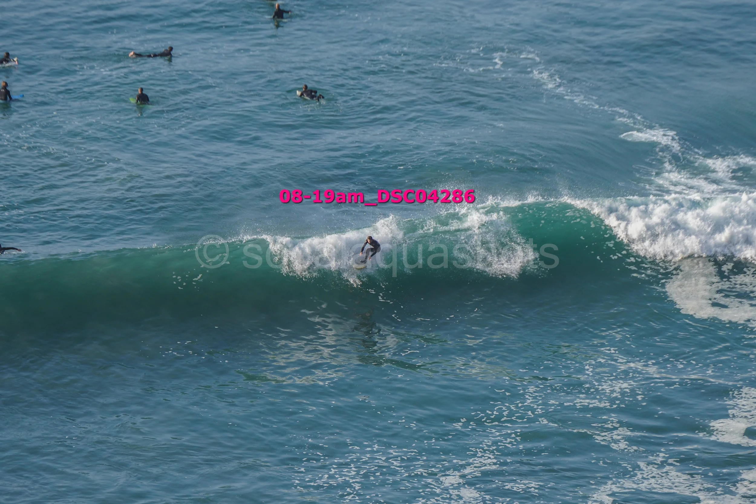 A person surfing on a wave while several other people swim in the ocean nearby.