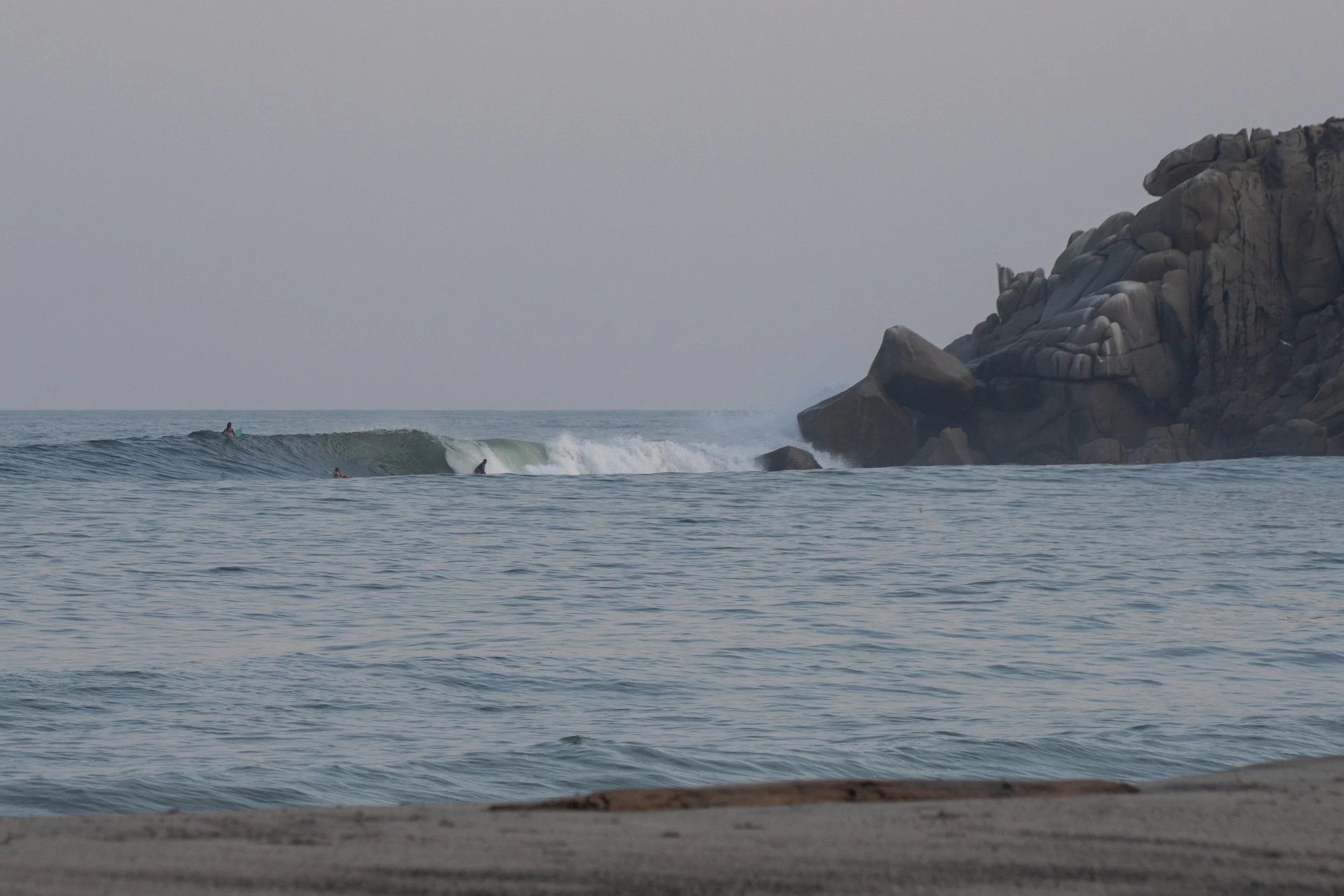 DSC01594.jpg