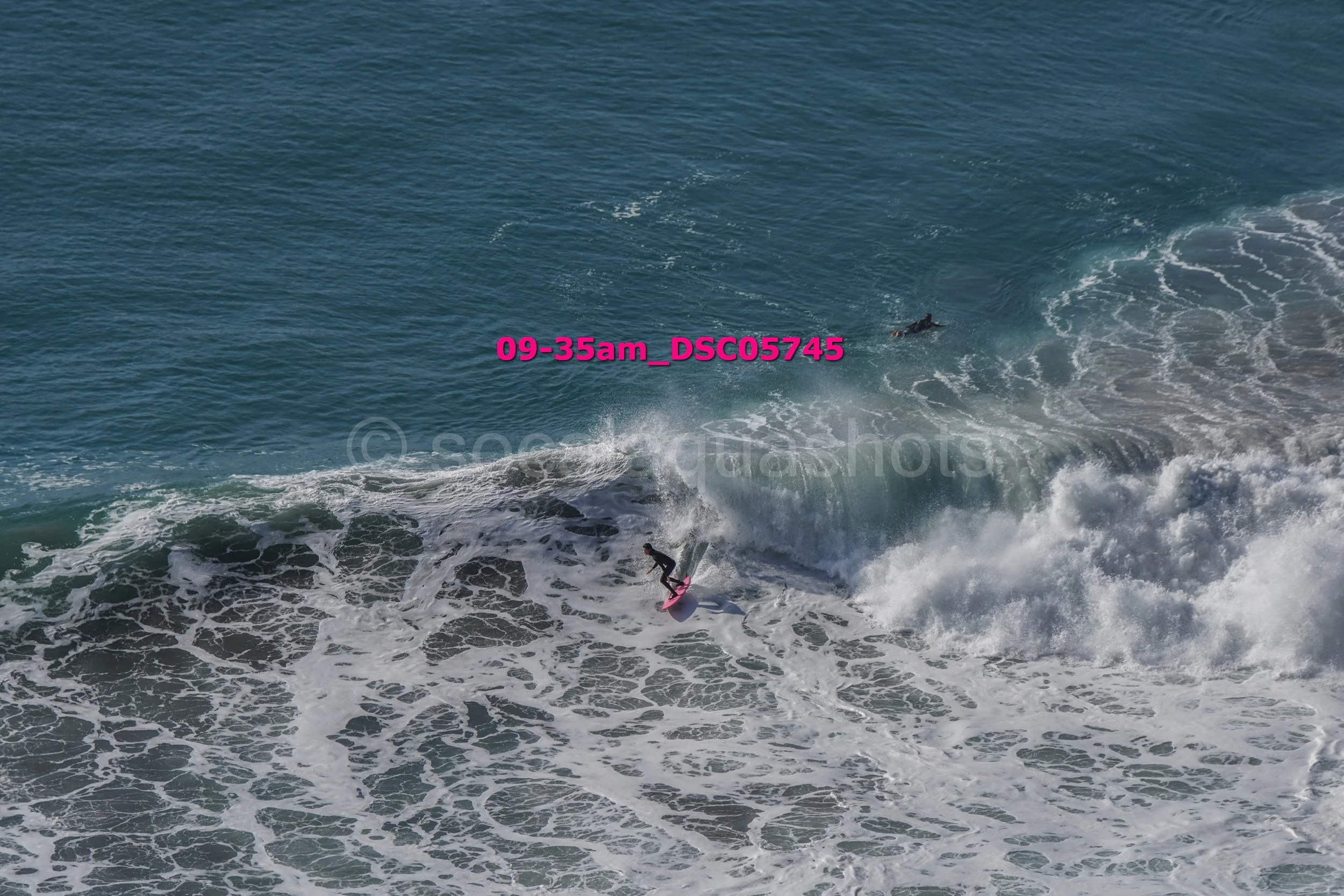Surfer riding a wave in the ocean with a shark visible in the water nearby.