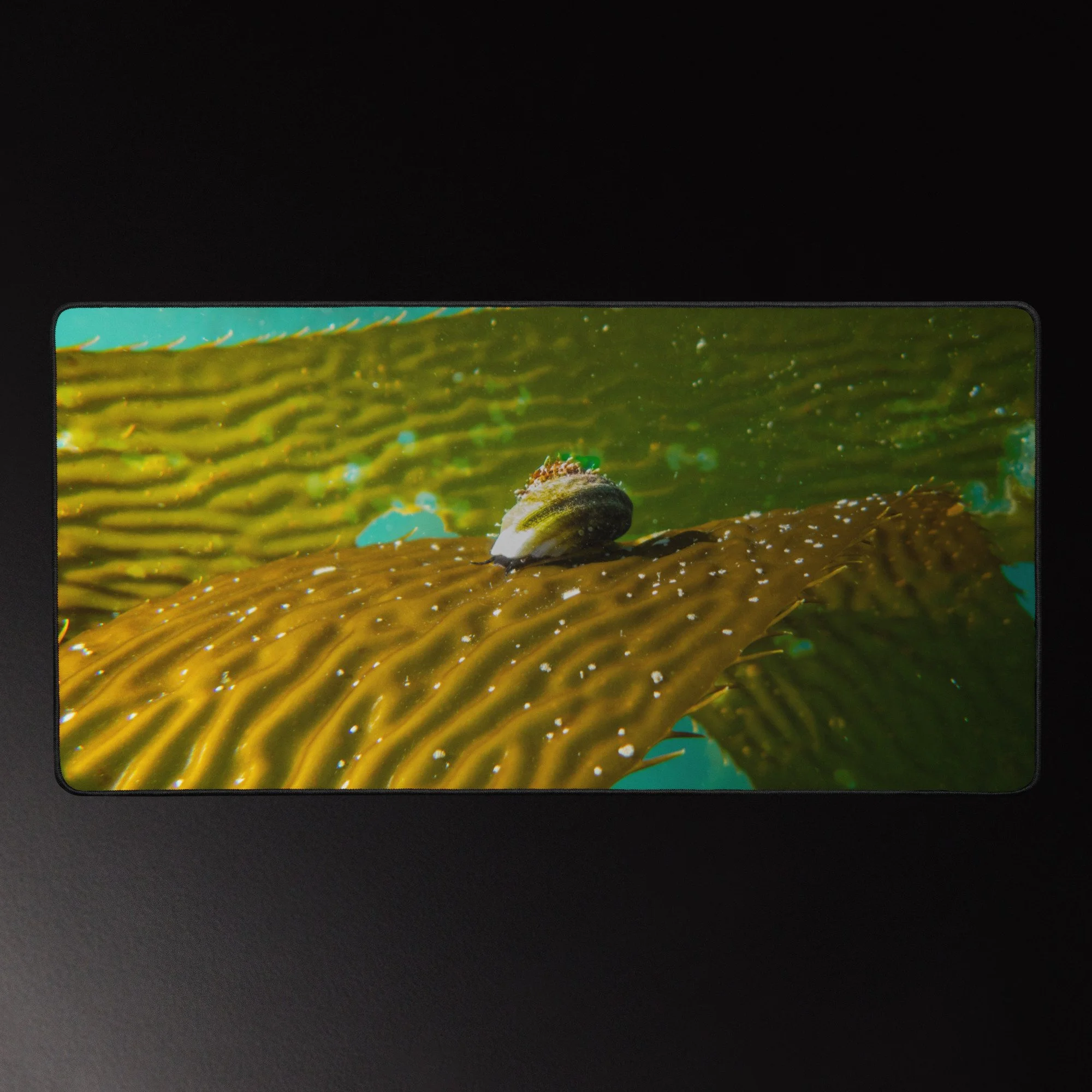 Kelp Rider - 16x32 Photography Desk Mat
