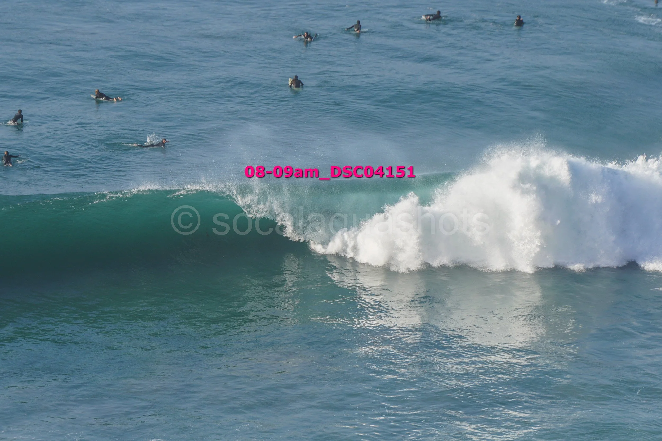 Multiple surfers in the ocean watching a large wave.
