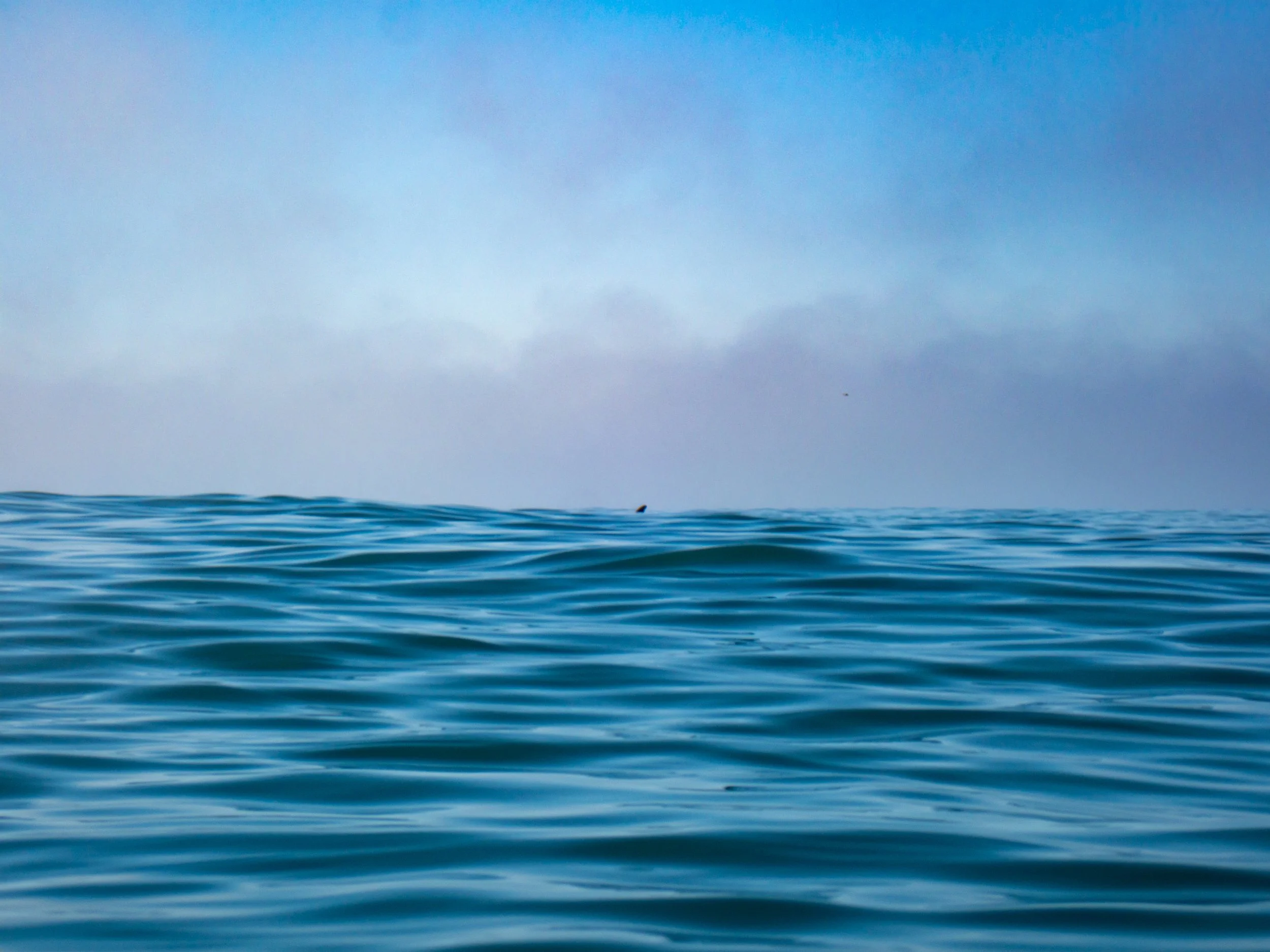 Ocean with calm waves and a cloudy sky in the background.