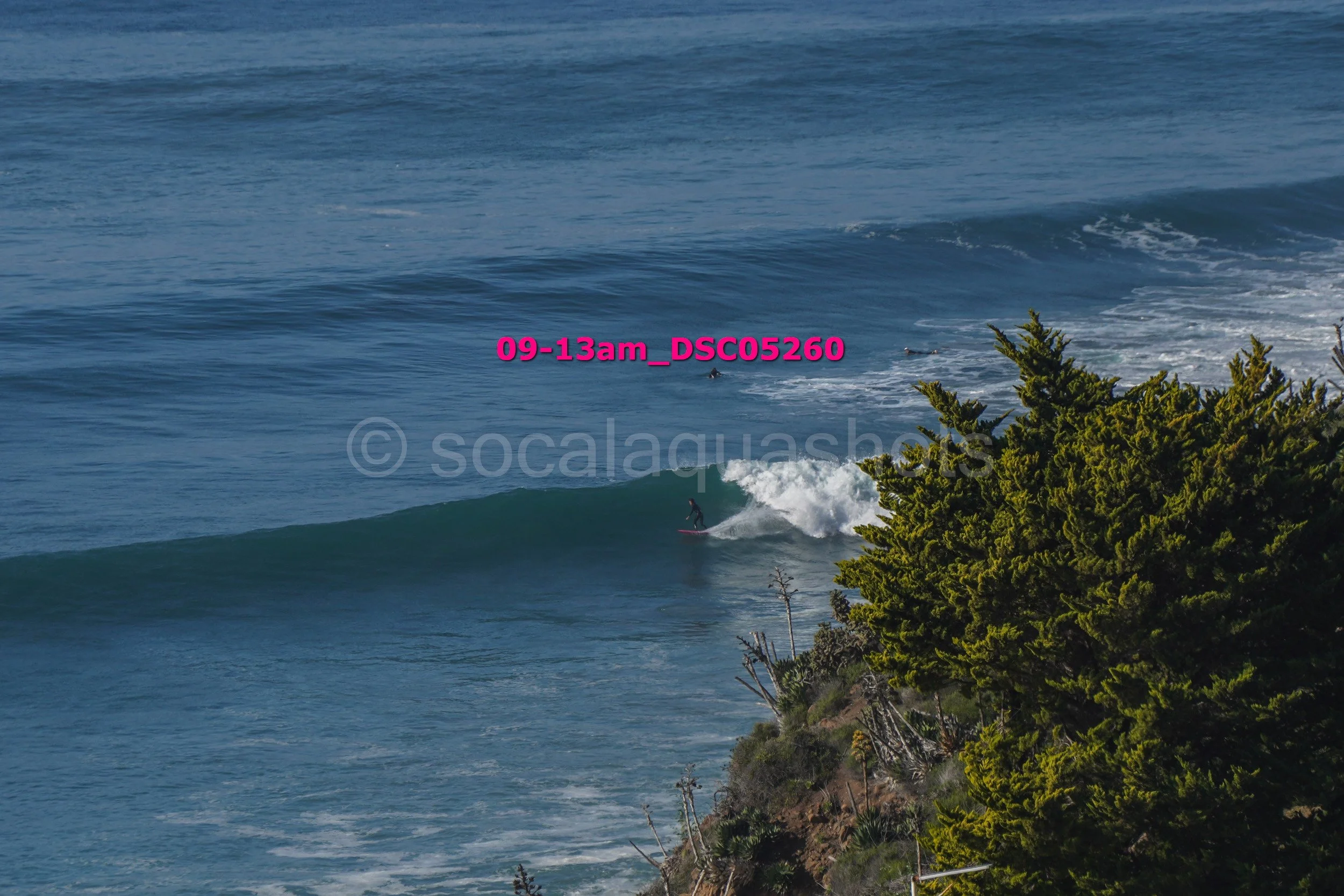 A person surfing on a wave near a shoreline with green trees, in an ocean scene during daytime.