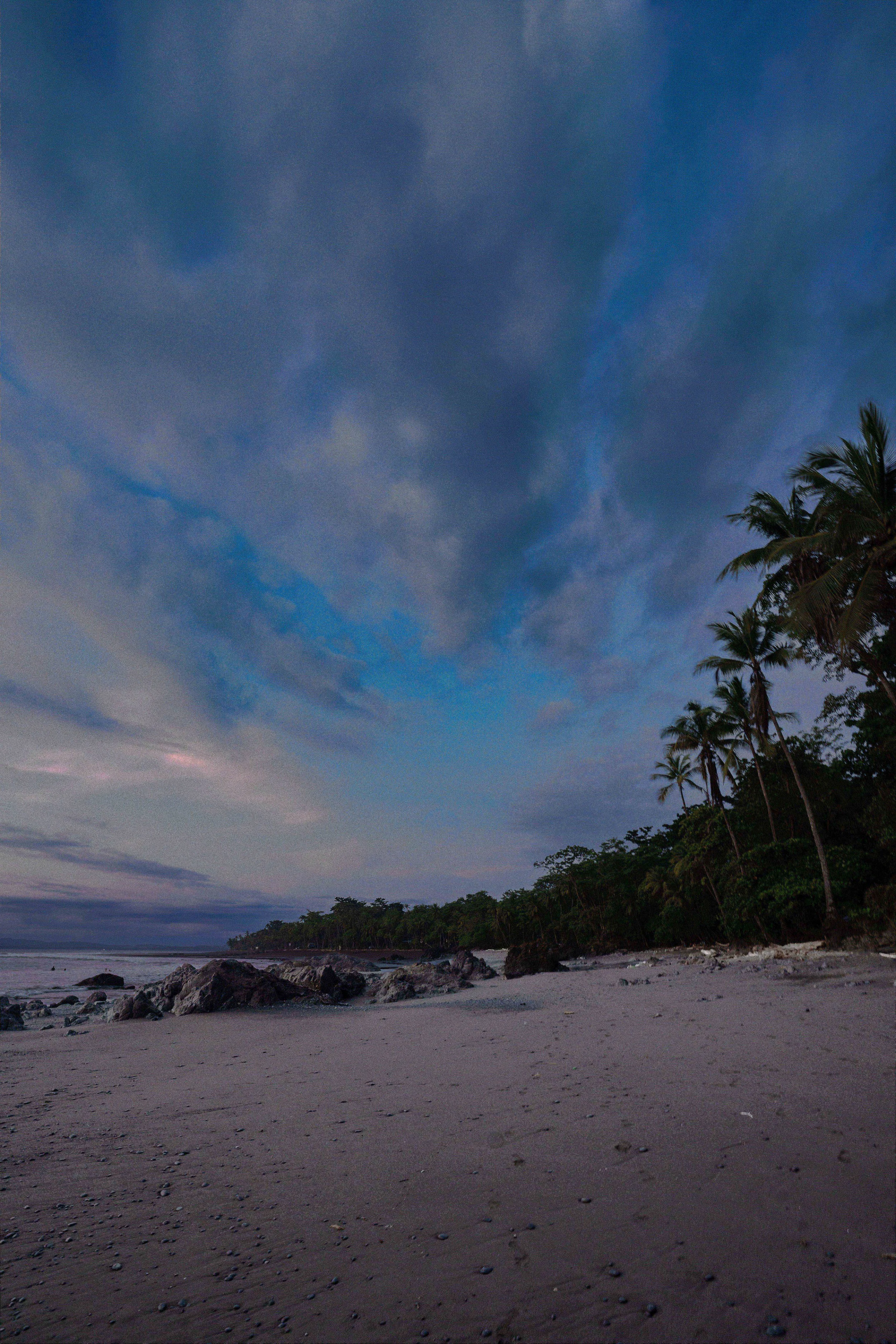 A beach scene during twilight with a cloudy sky, palm trees on the right, rocks scattered on the sandy shore, and the ocean in the background.