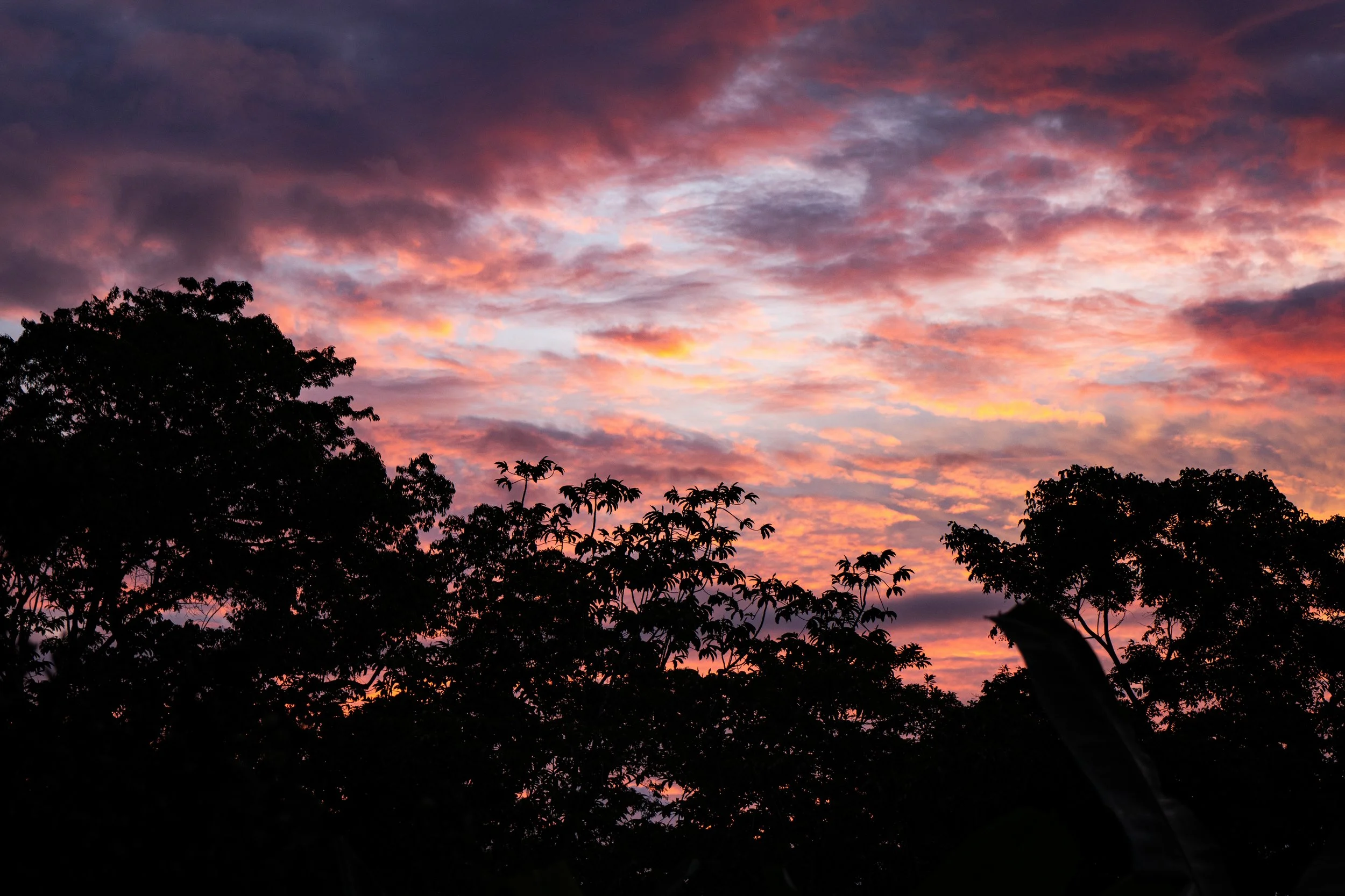 DSC09707.jpg