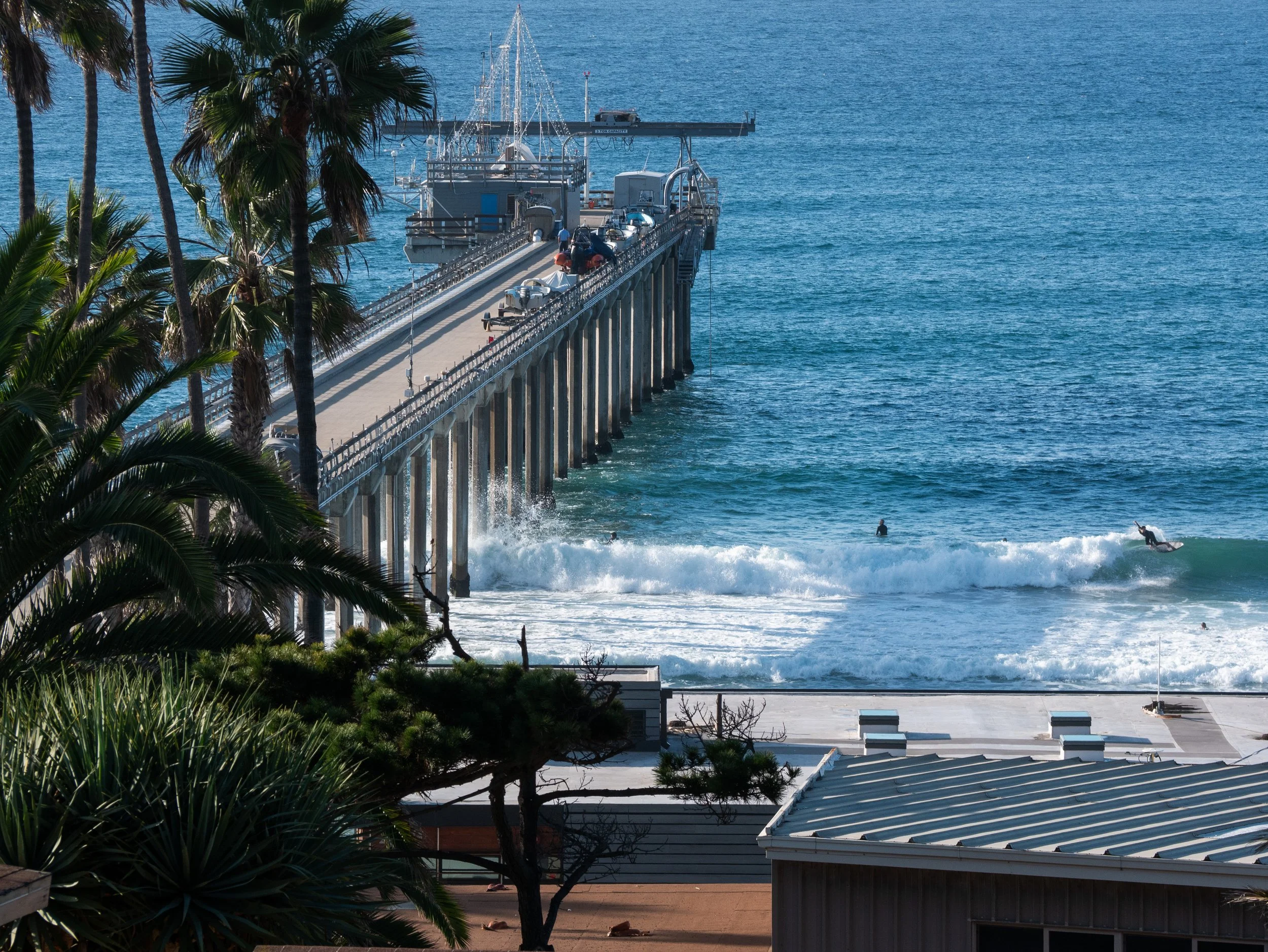 A pier extends into the ocean with palm trees in the foreground. People are seen surfing in the water near the shoreline in the distance.