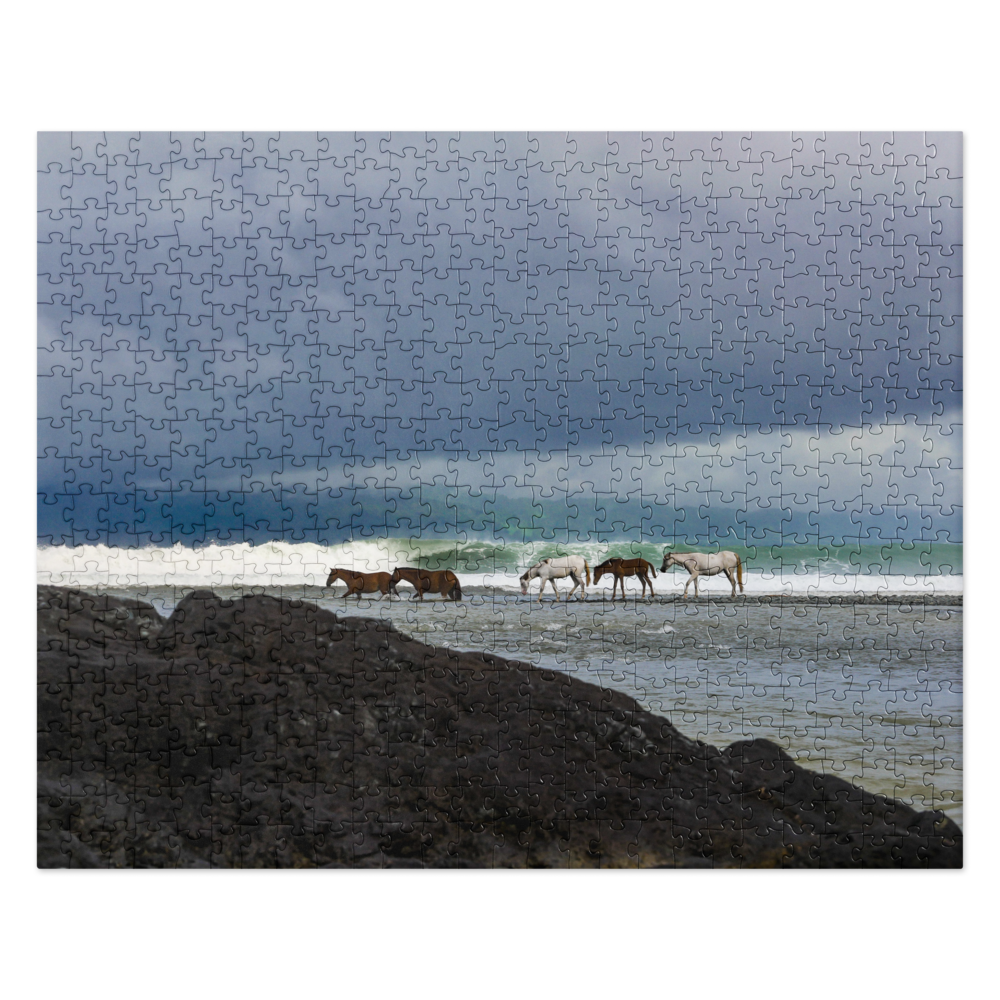 jigsaw-puzzle-520-pieces-front-6802dfadb1f14.png