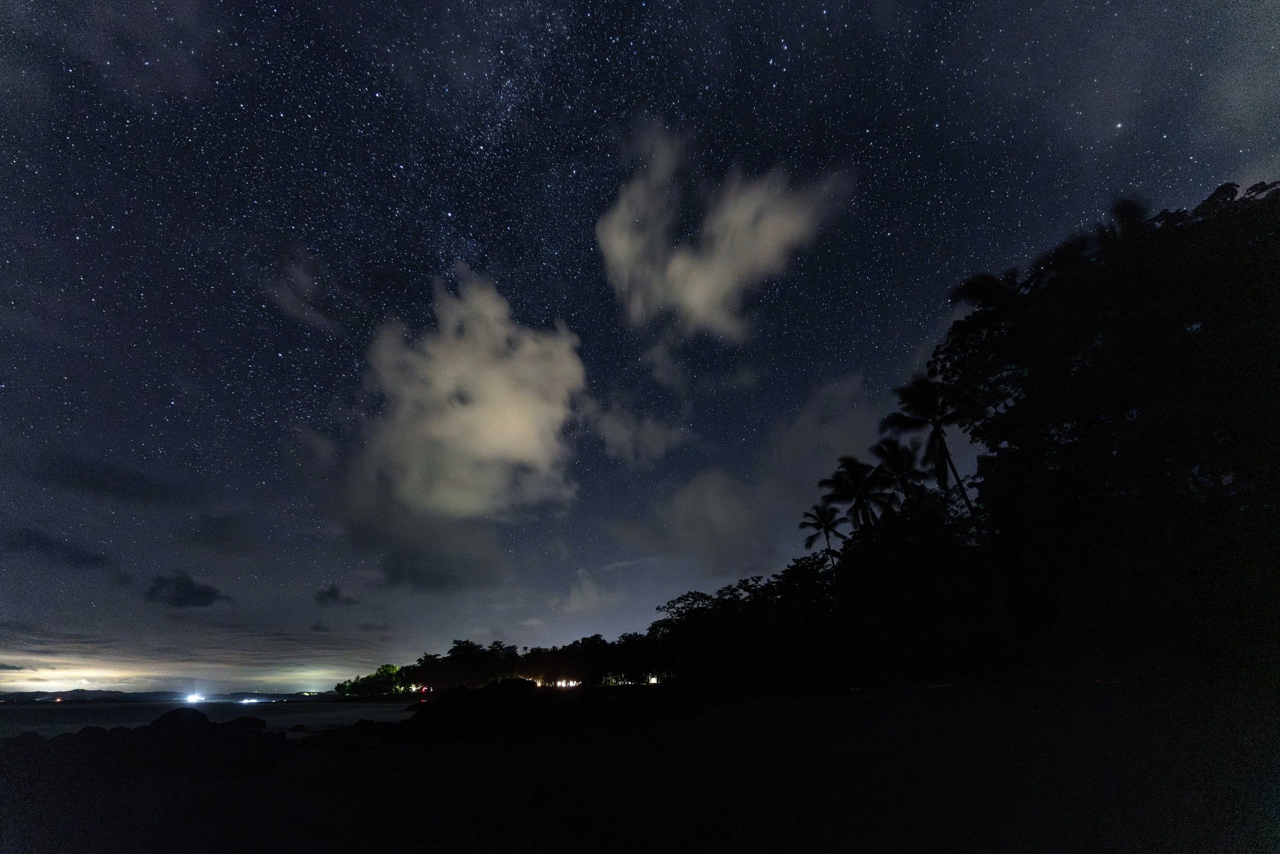 Night sky filled with stars above a silhouette of trees and a distant body of water.