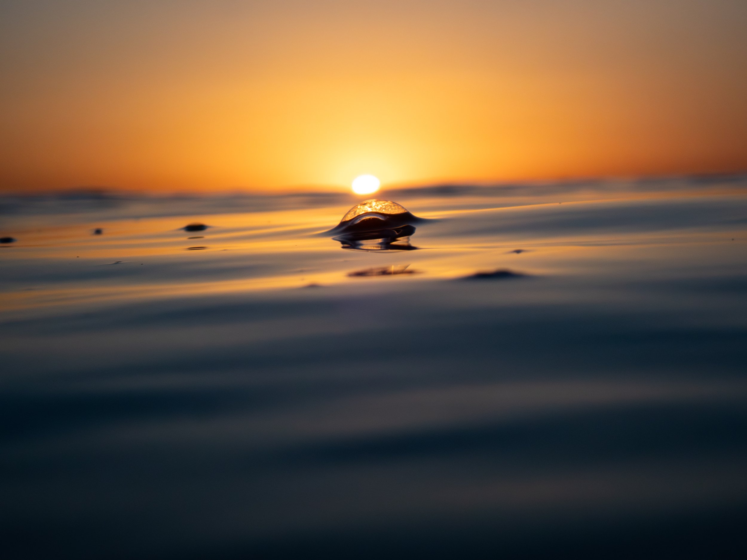 Close-up of a water droplet on the surface of the ocean at sunset, with the sun setting on the horizon in the background.