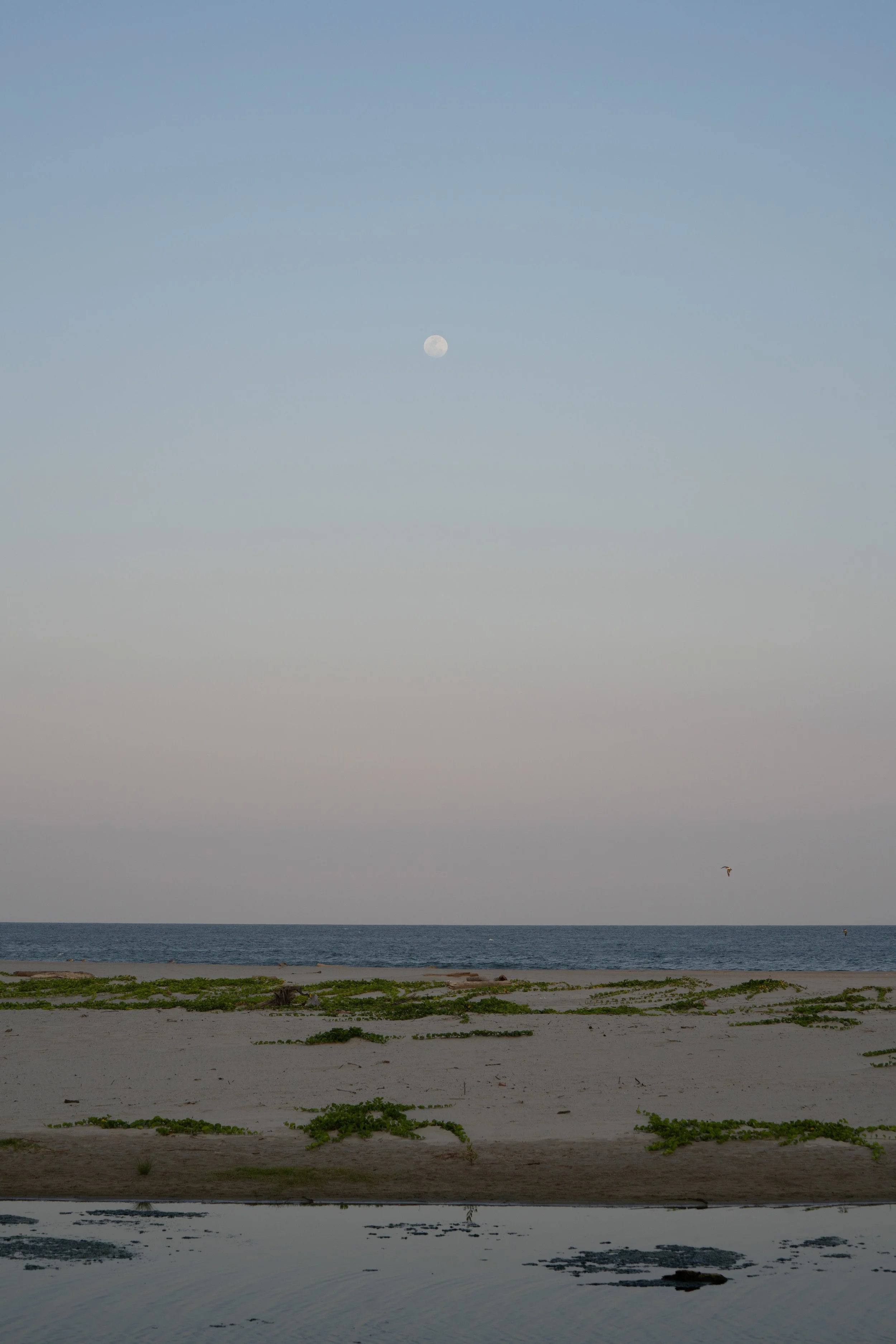 DSC06437.jpg