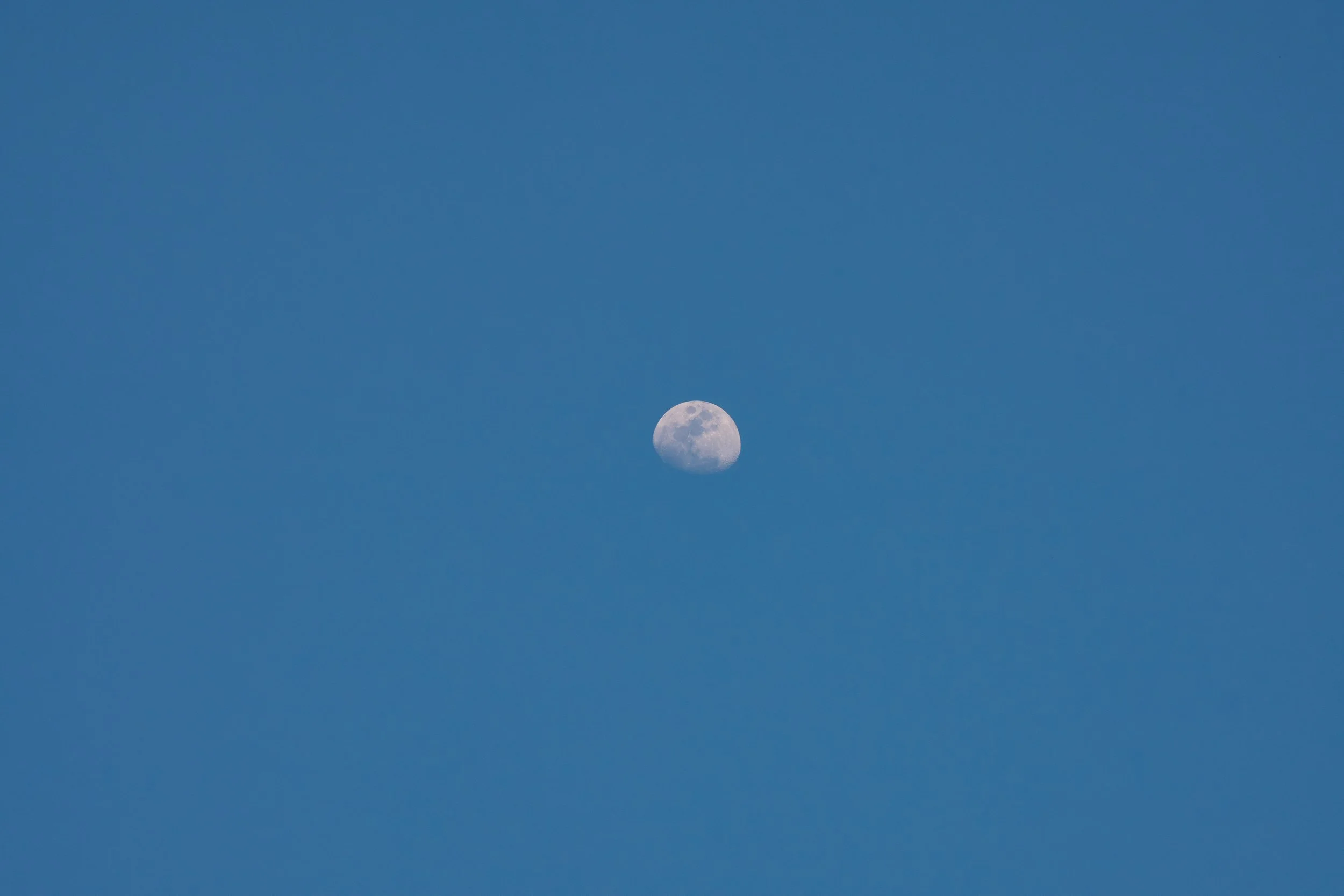 DSC02921.jpg