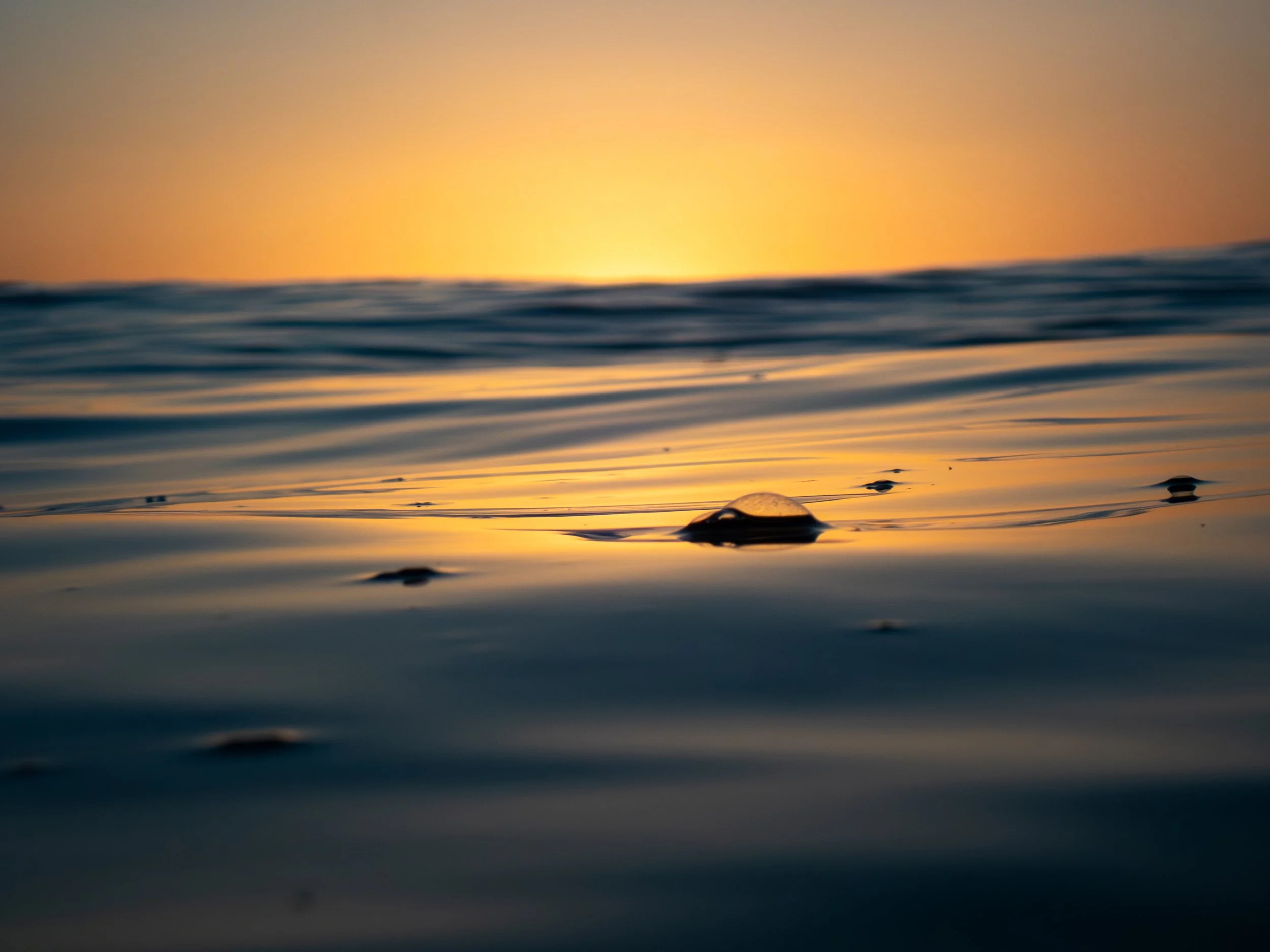 Close-up of a soap bubble floating on a calm body of water during sunset, with the sky glowing in warm orange and yellow hues.