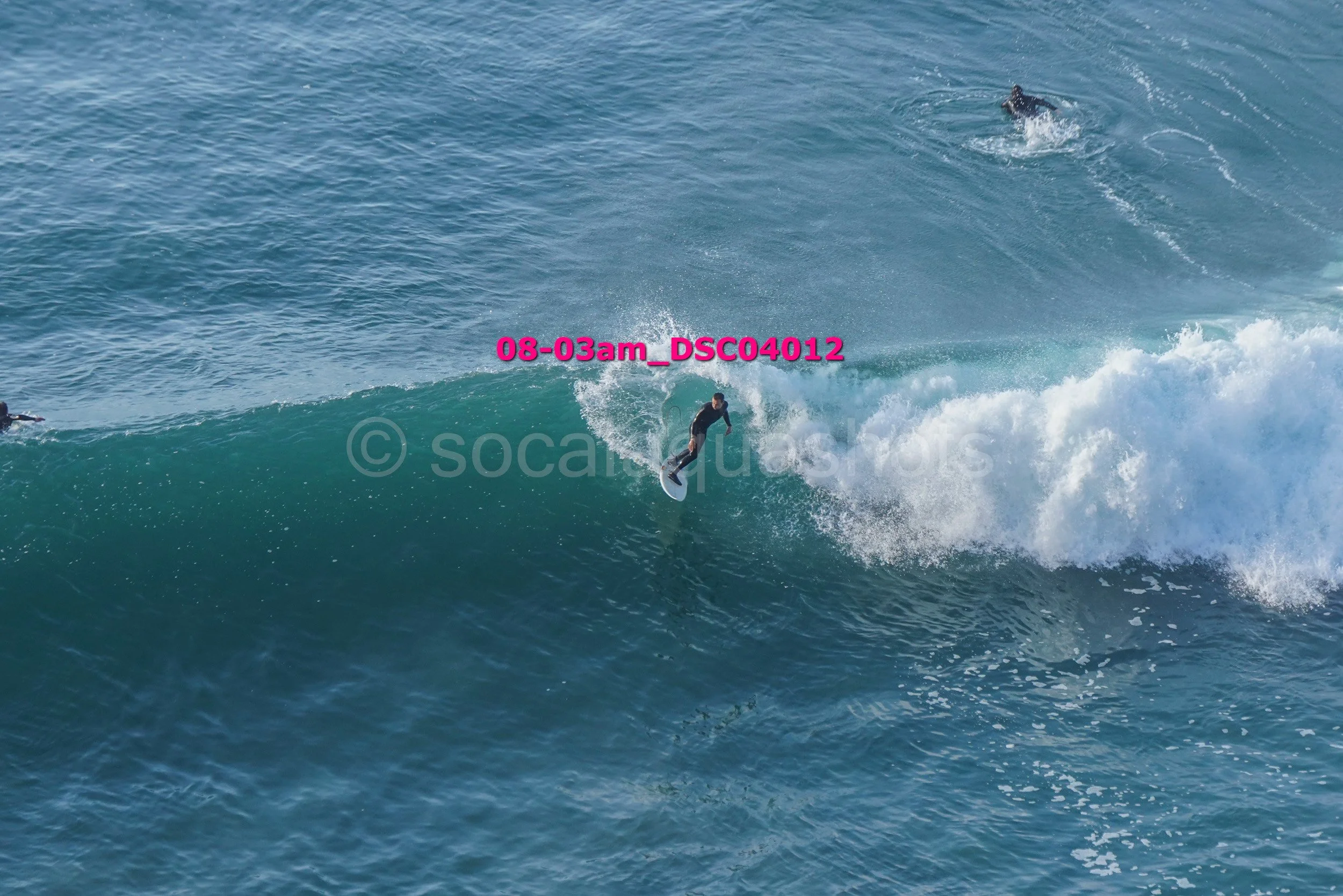 A person surfing on a wave in the ocean with a dog swimming in the water nearby.