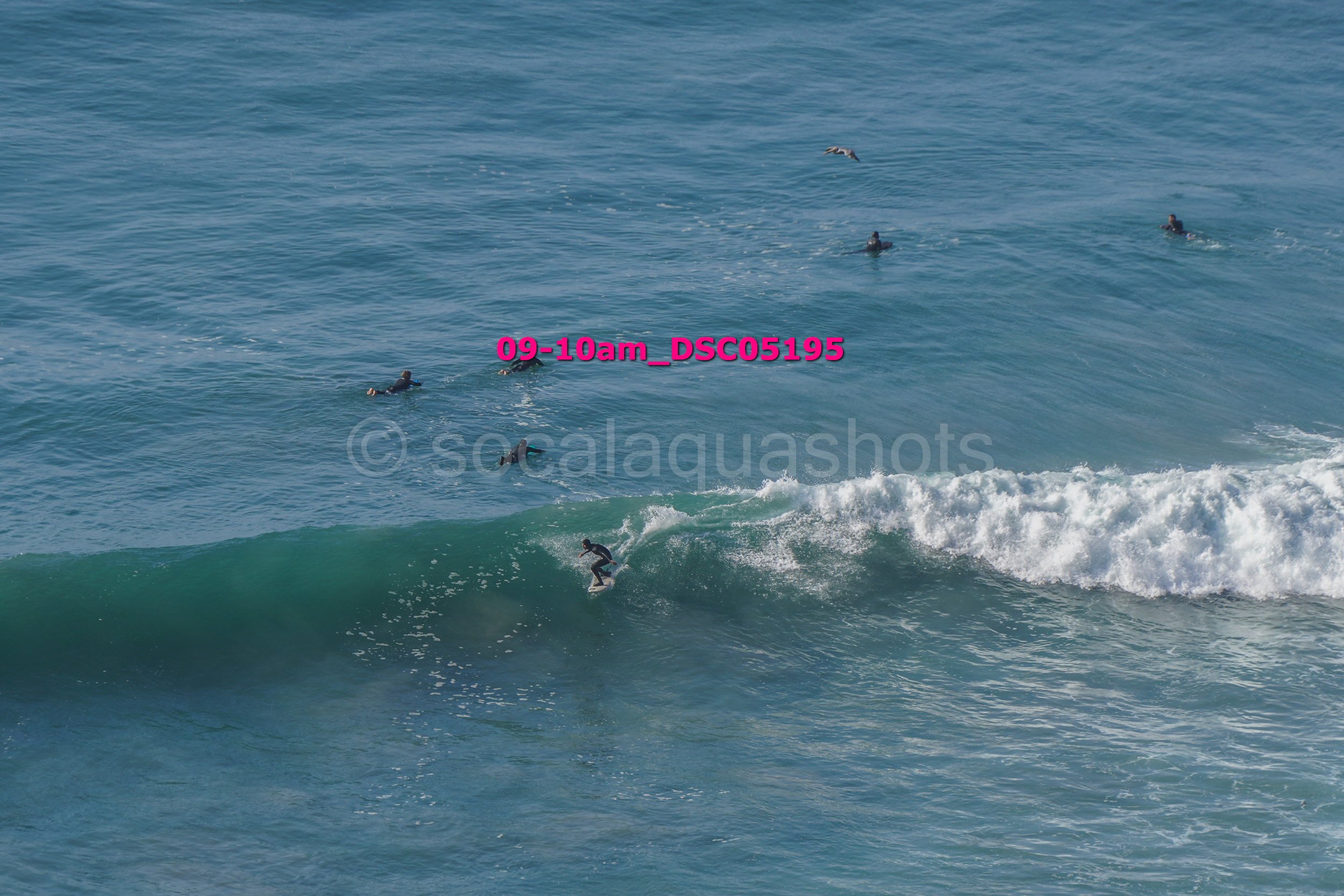 Surfer riding a wave with several people swimming in the ocean nearby.