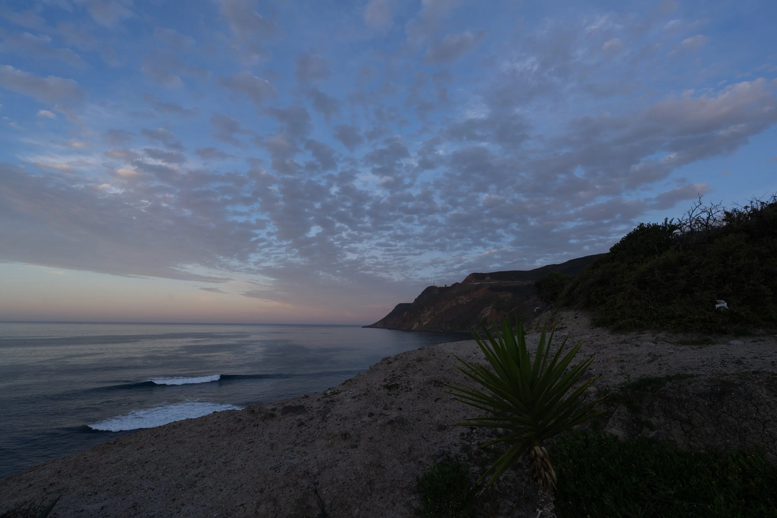 Coastal scene at dusk with the ocean, sandy shore, green shrubbery, and a partly cloudy sky.