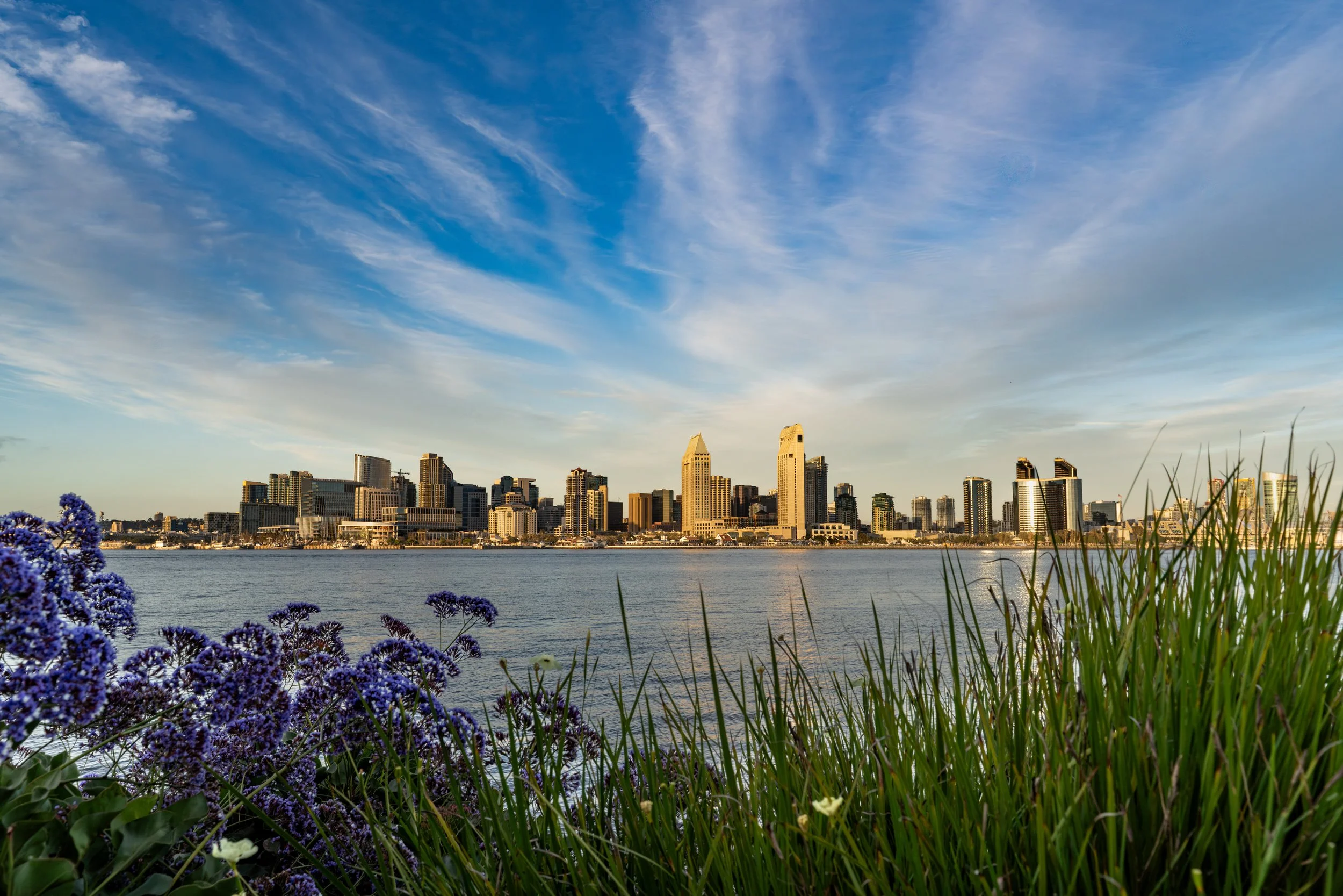 San diego skyline at golden hour.