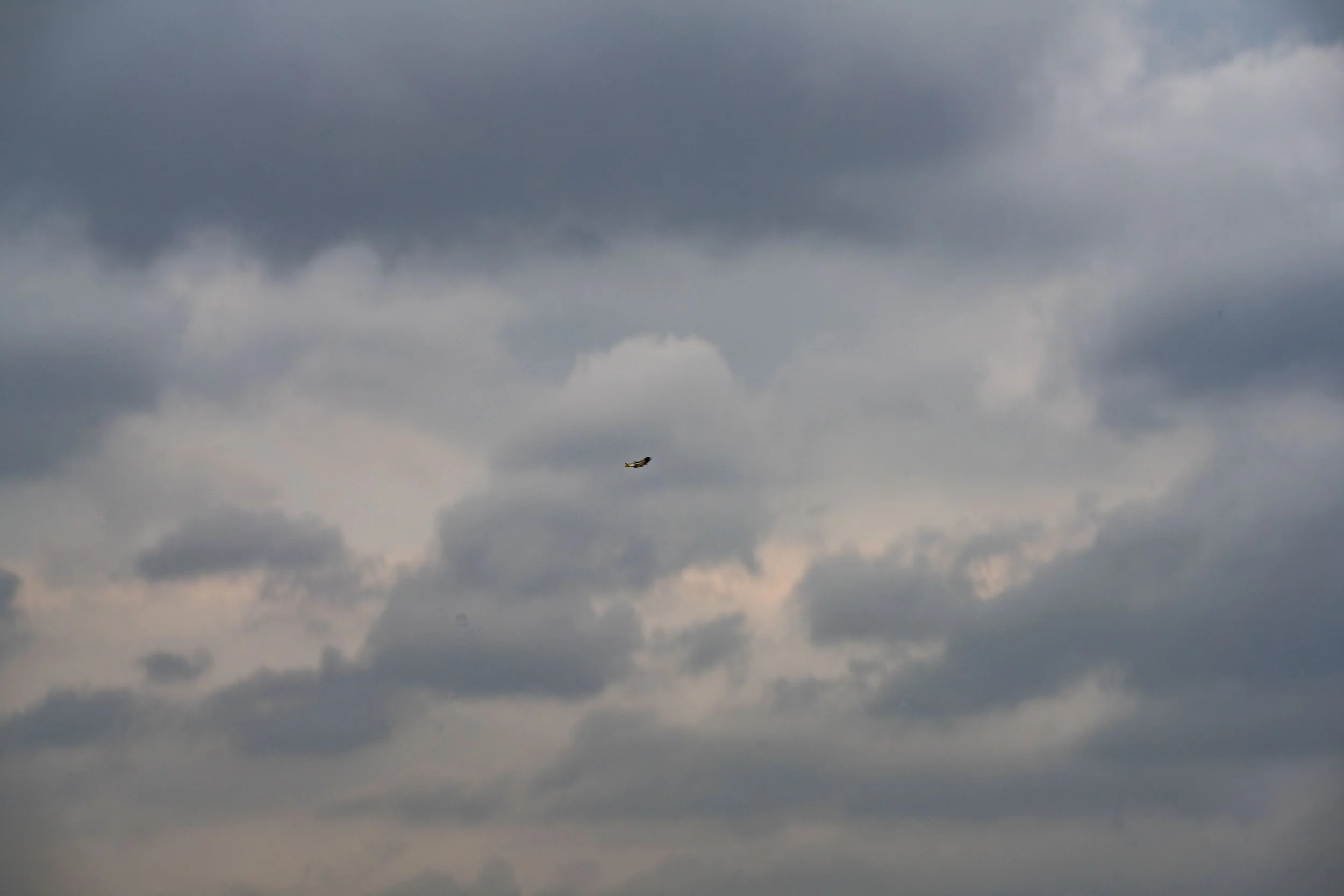 DSC04551.jpg