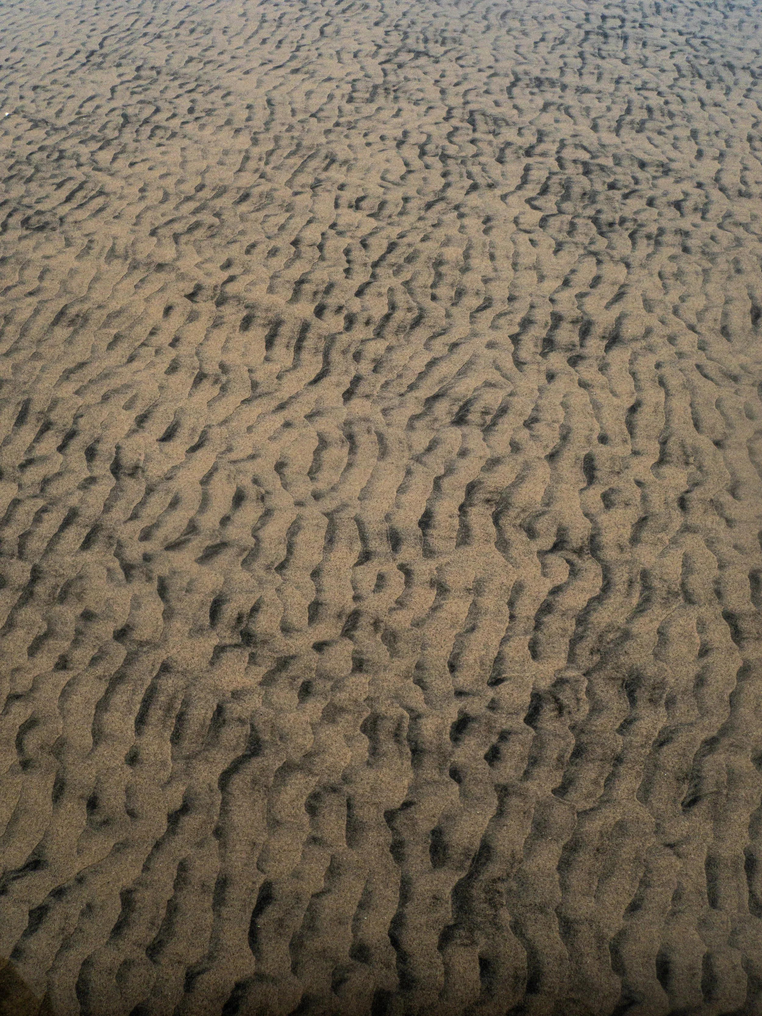 Close-up of sand with textured footprints and small ripples.