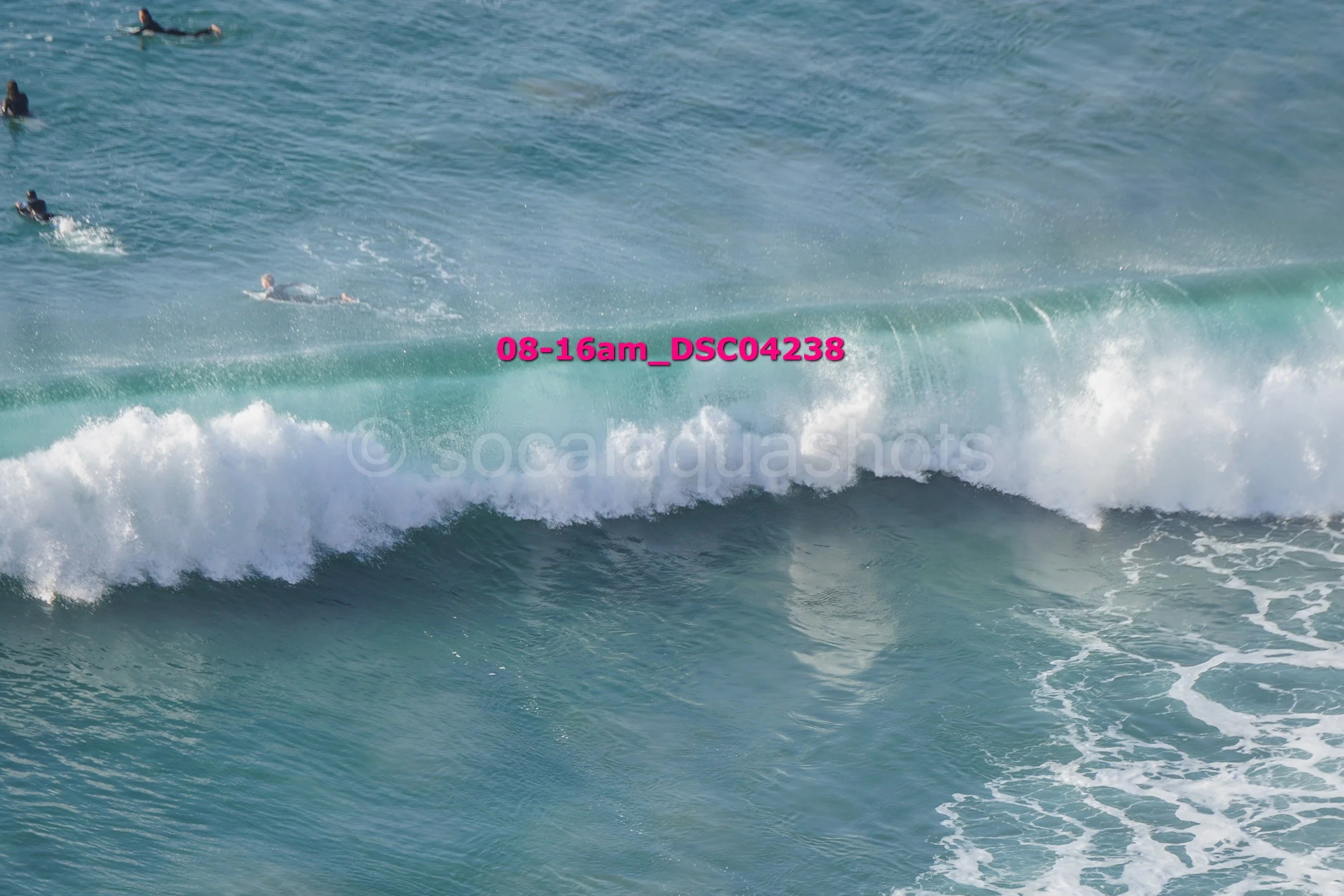 Multiple surfers in the ocean riding or waiting for waves with visible white foam and water spray.