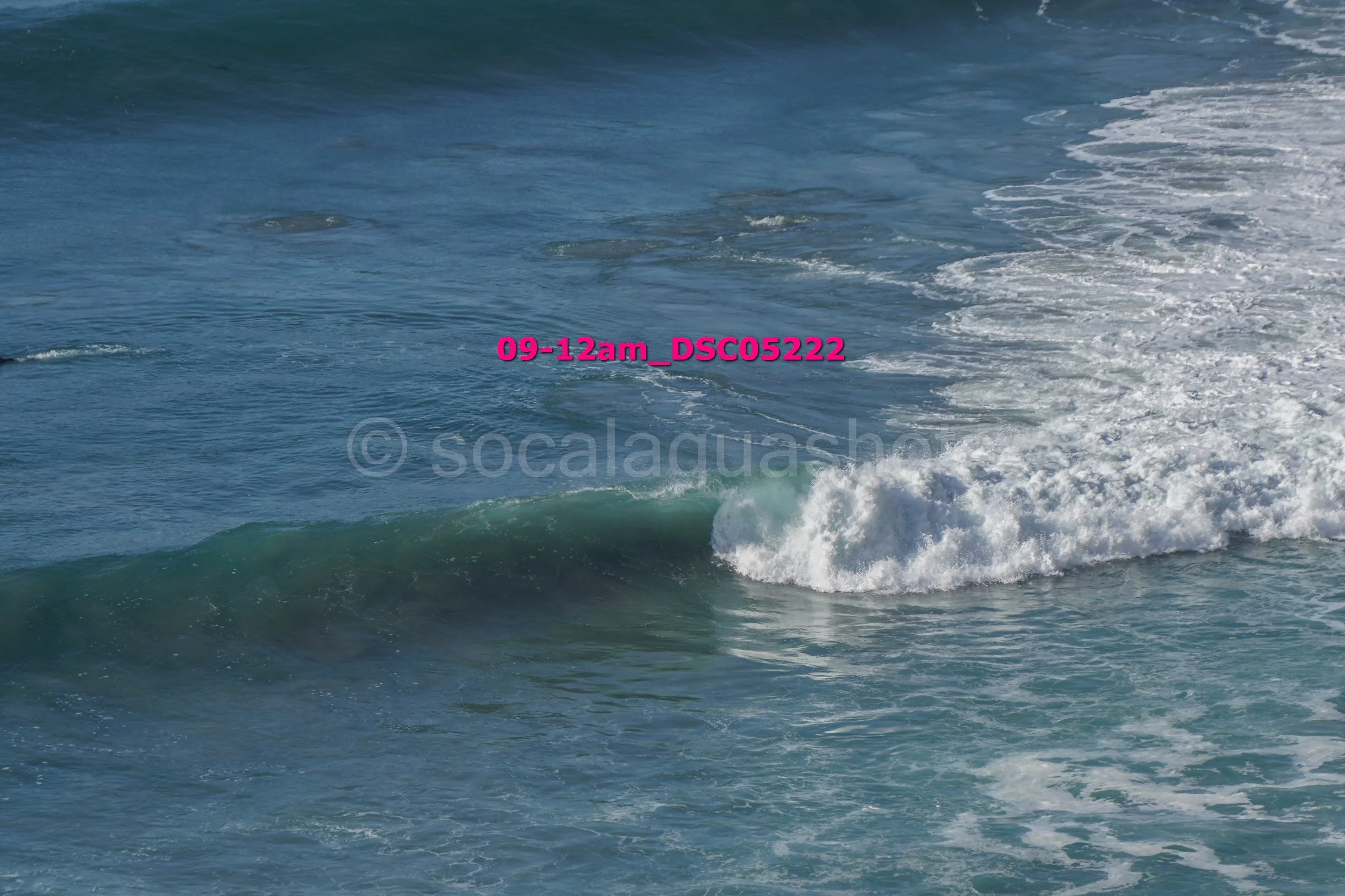 Ocean waves crashing against each other with white foam and water spray.