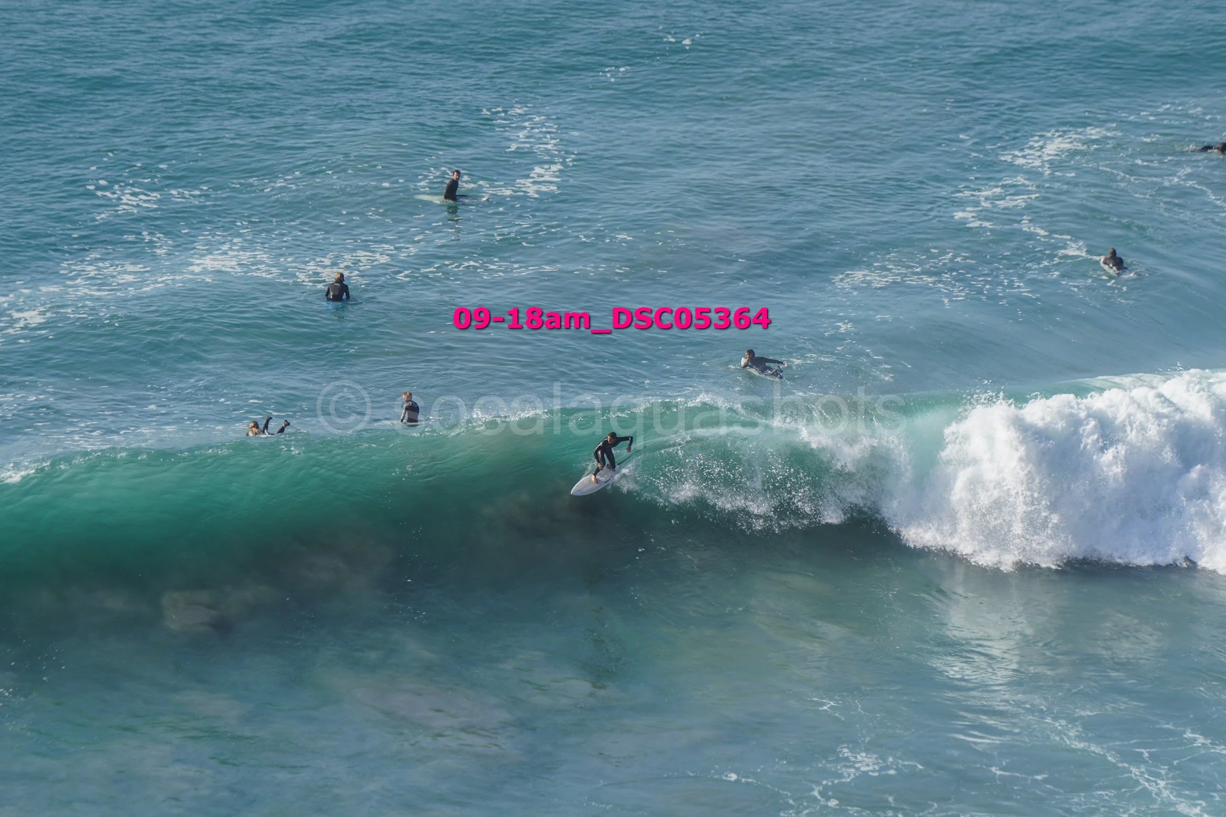 A group of people surfing and swimming in the ocean, with one person riding a wave.