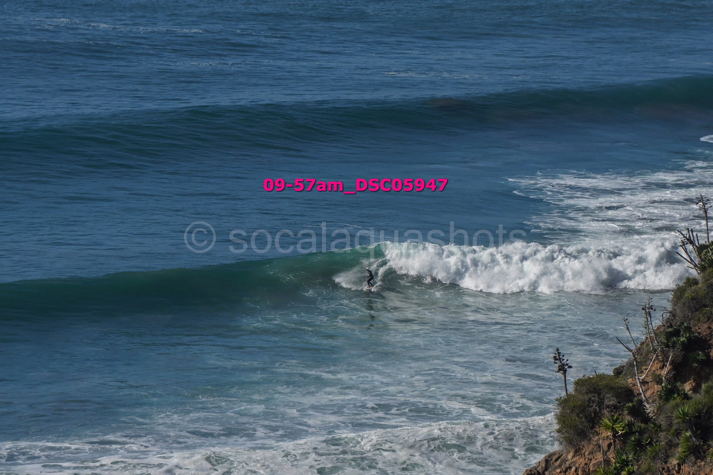A person surfing on a wave near a rocky shoreline with green coastal vegetation.