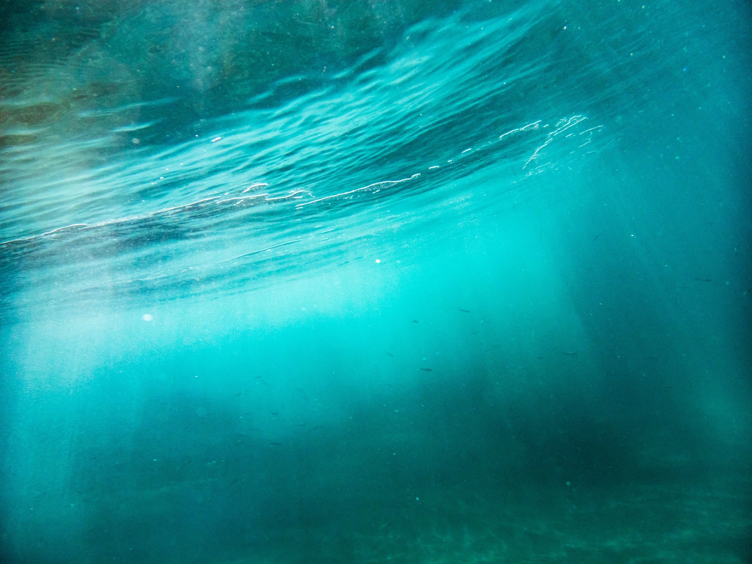 Underwater scene showing the surface of the ocean with sunlight filtering through the water and creating a blue-green hue.