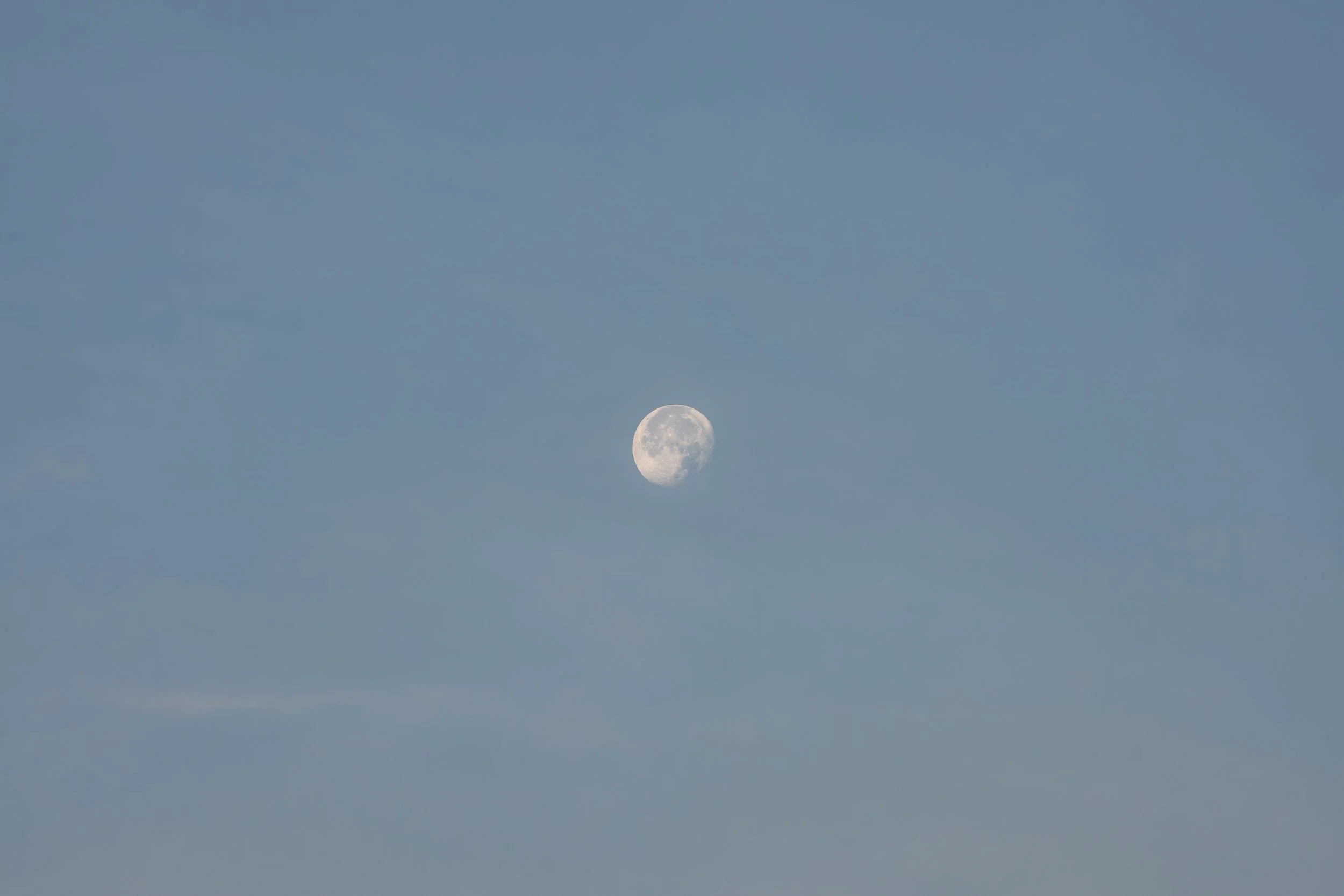 DSC06733.jpg