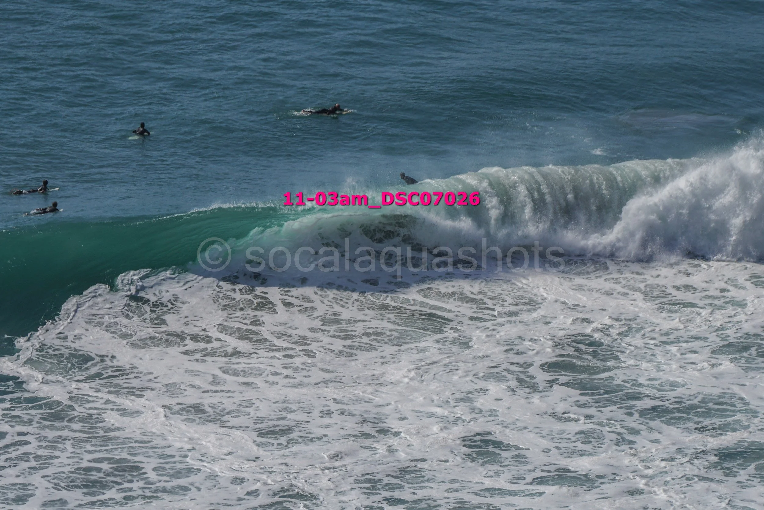 Multiple surfers in the ocean, with one caught on a wave, while others paddle or swim nearby.