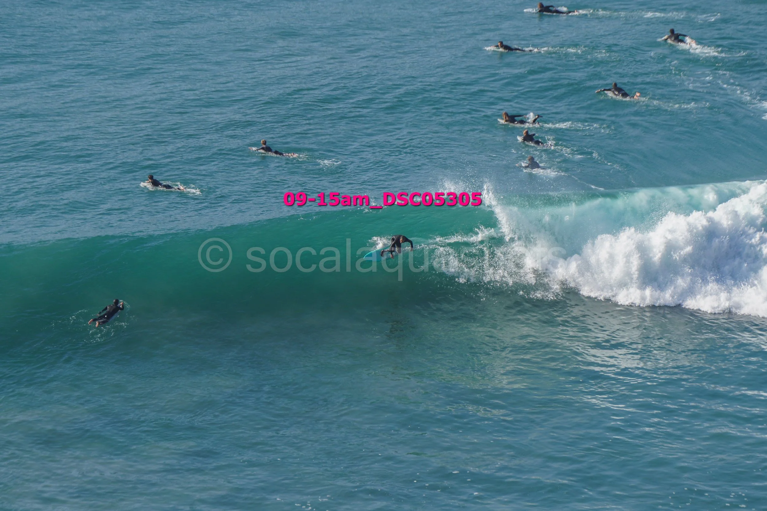 Multiple surfers in wetsuits riding and waiting on ocean waves at a sunny beach.