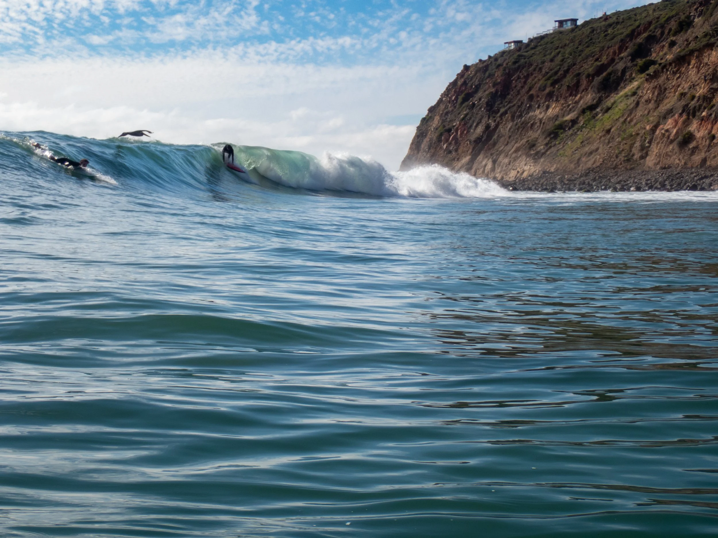 People surfing on ocean waves near a rocky coastline under a partly cloudy sky.