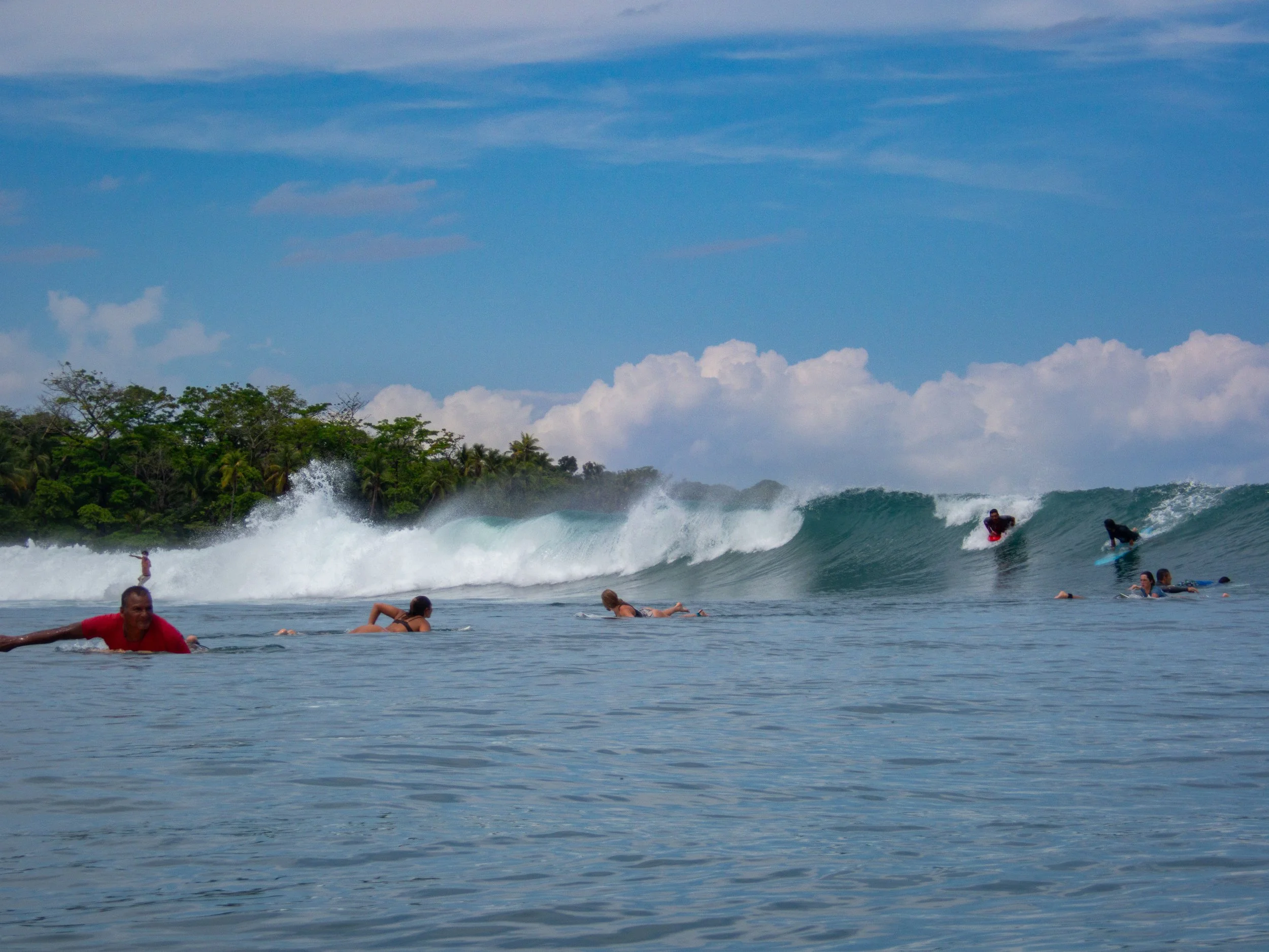 People surfing and paddling on waves with a tropical shoreline in the background under a blue sky.