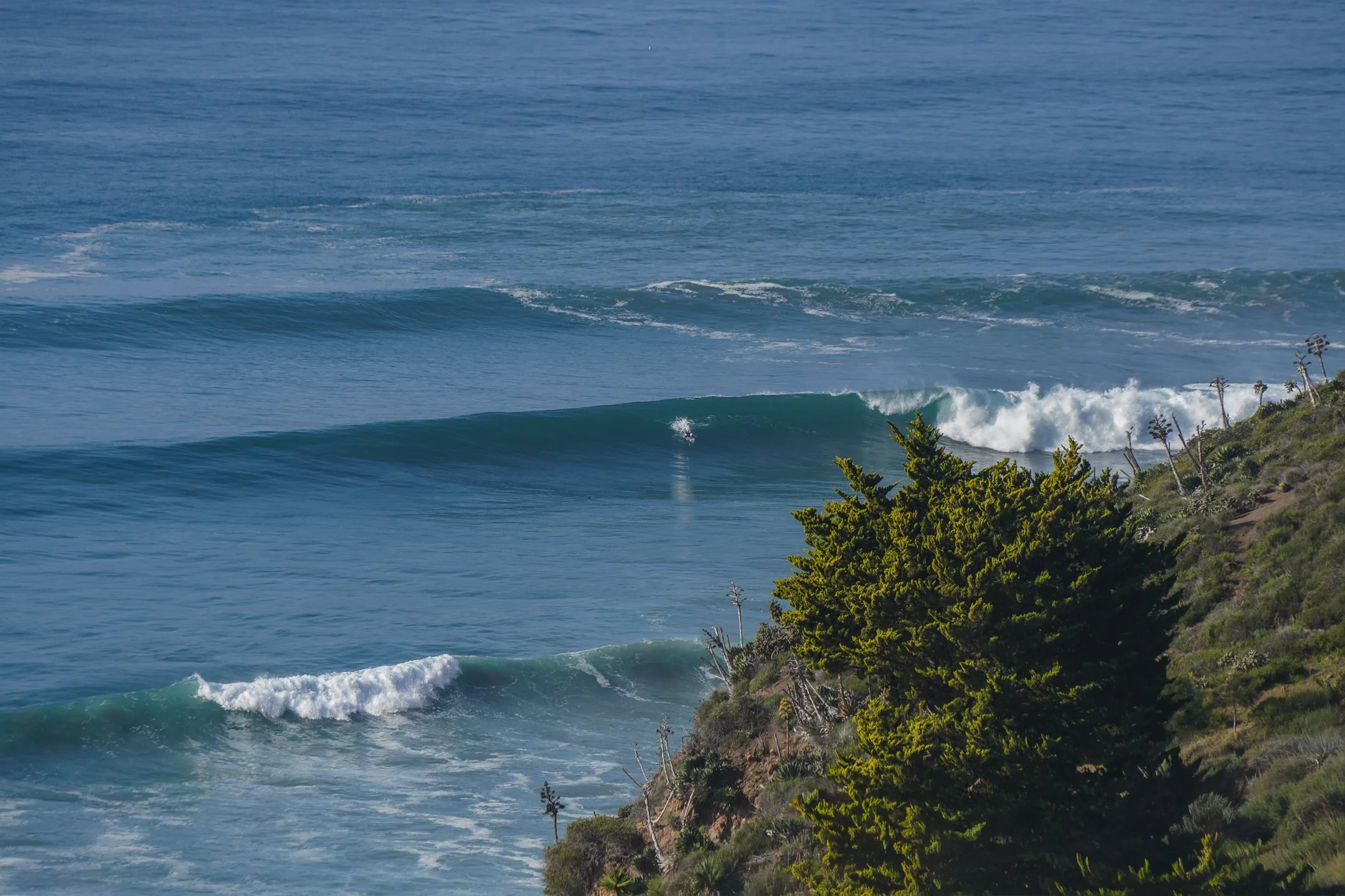 Ocean waves crashing near a hillside with greenery and small trees.