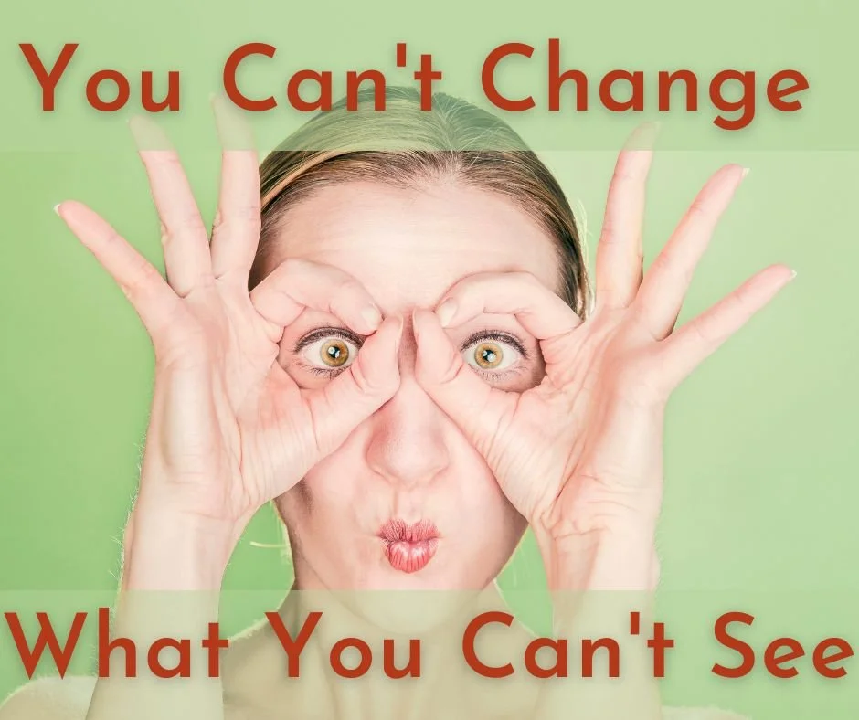 You Can't Change What You Don't See